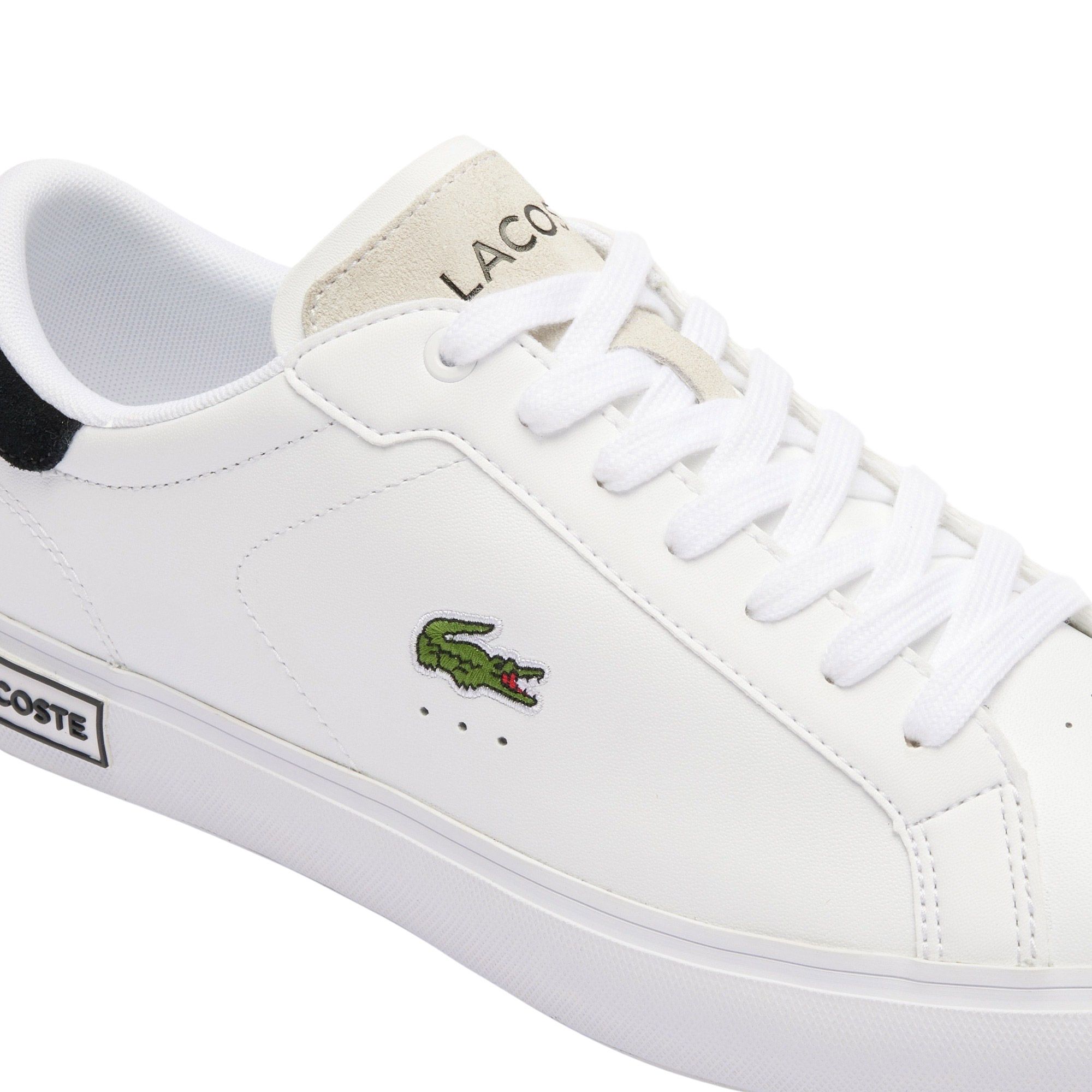 Baskets Lacoste Powercourt Hommes