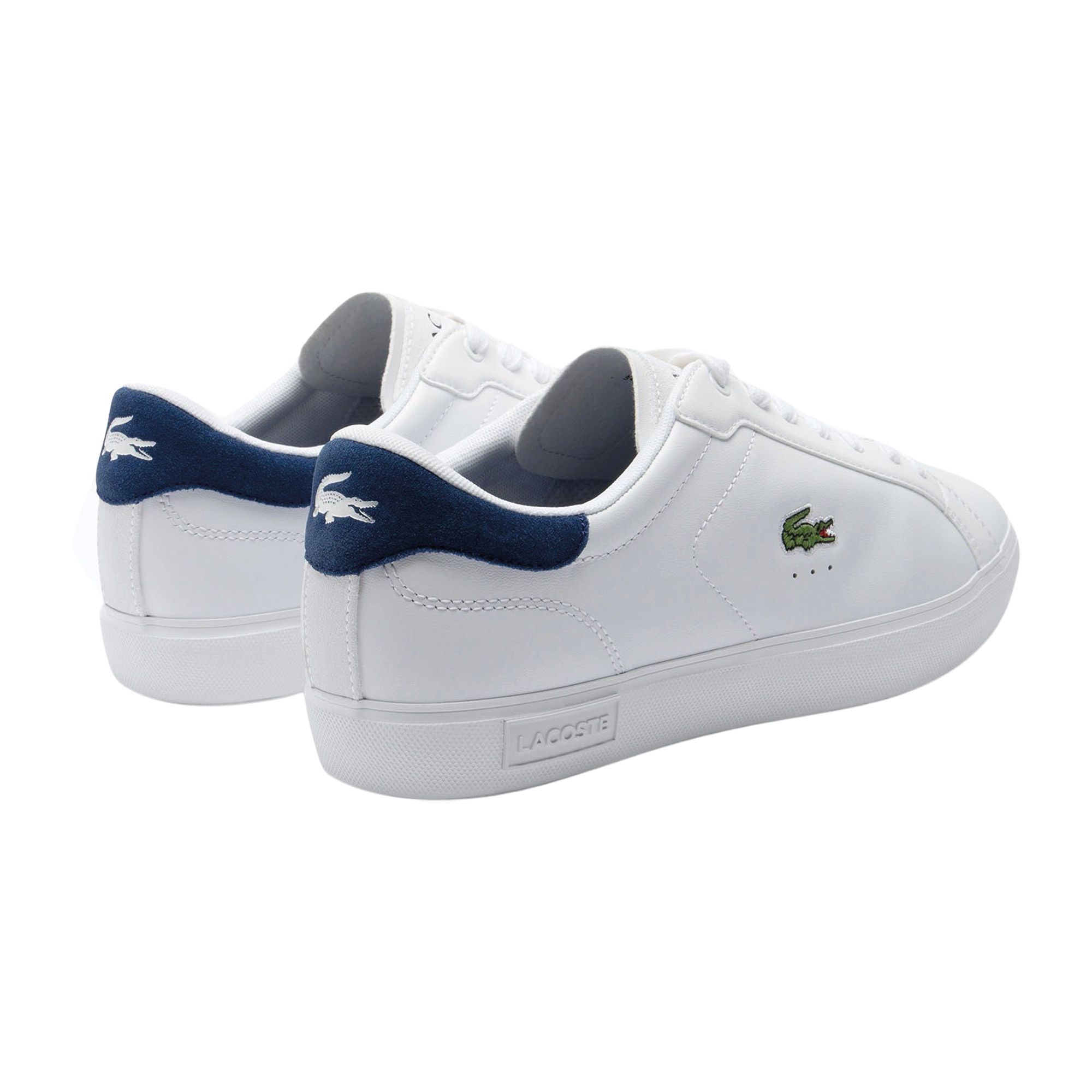 Baskets Lacoste Powercourt 224 Hommes