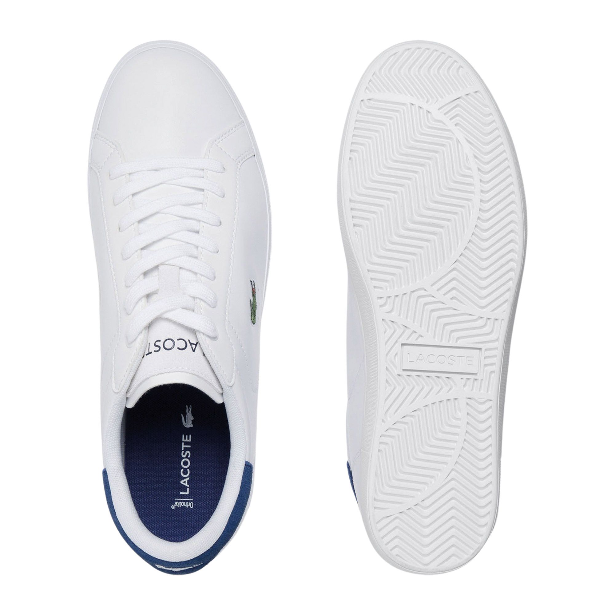 Baskets Lacoste Powercourt 224 Hommes