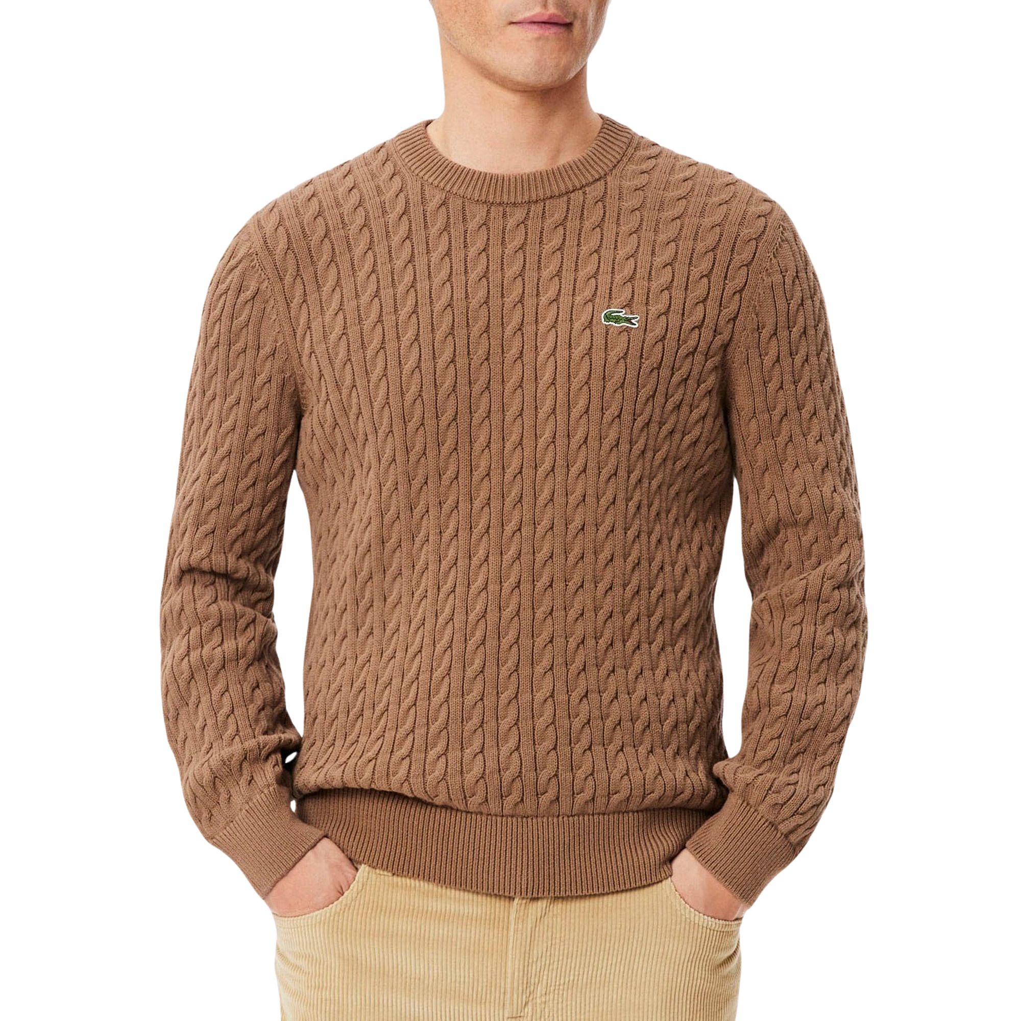 Pull Tricoté Lacoste Hommes