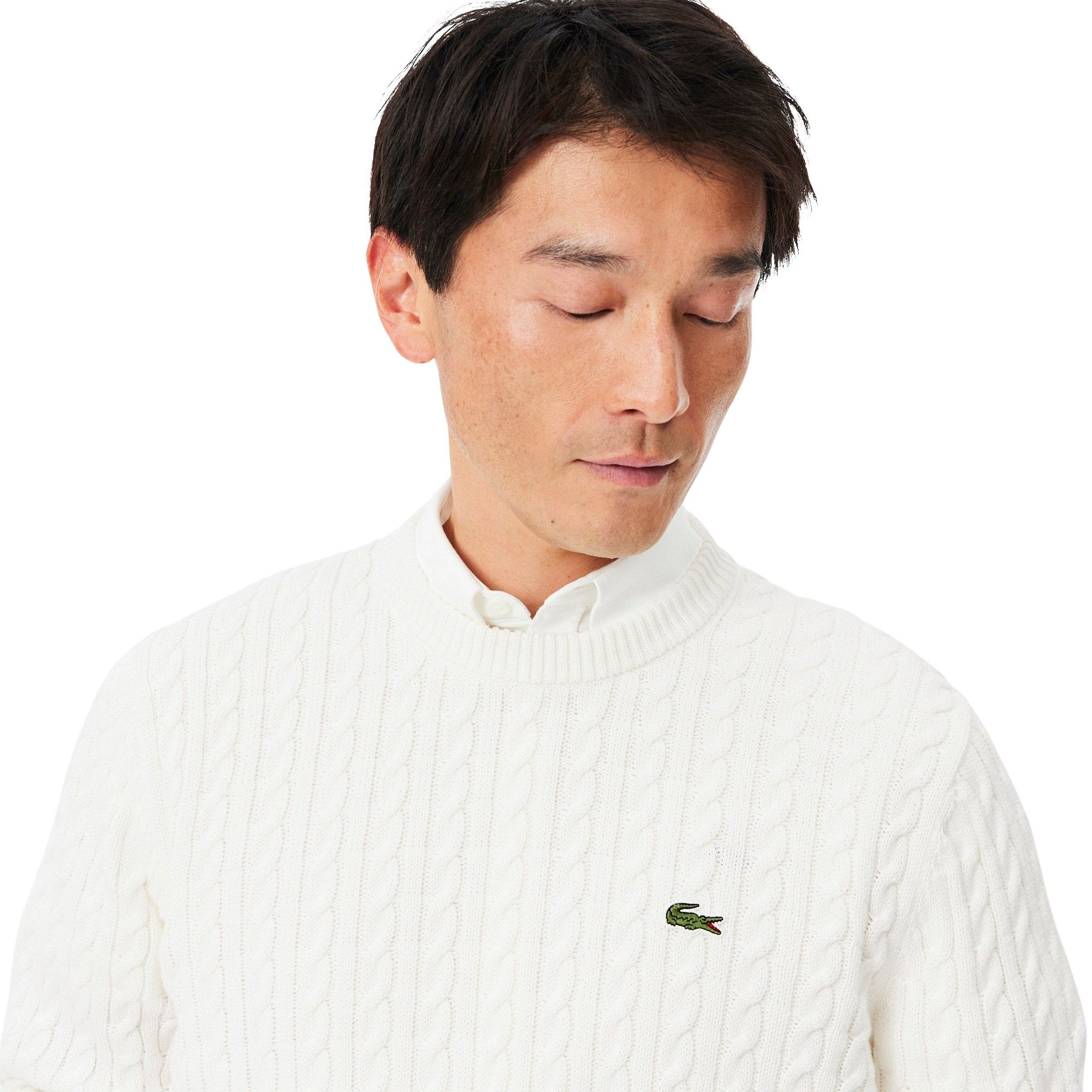 Lacoste Gebreide Sweater Heren