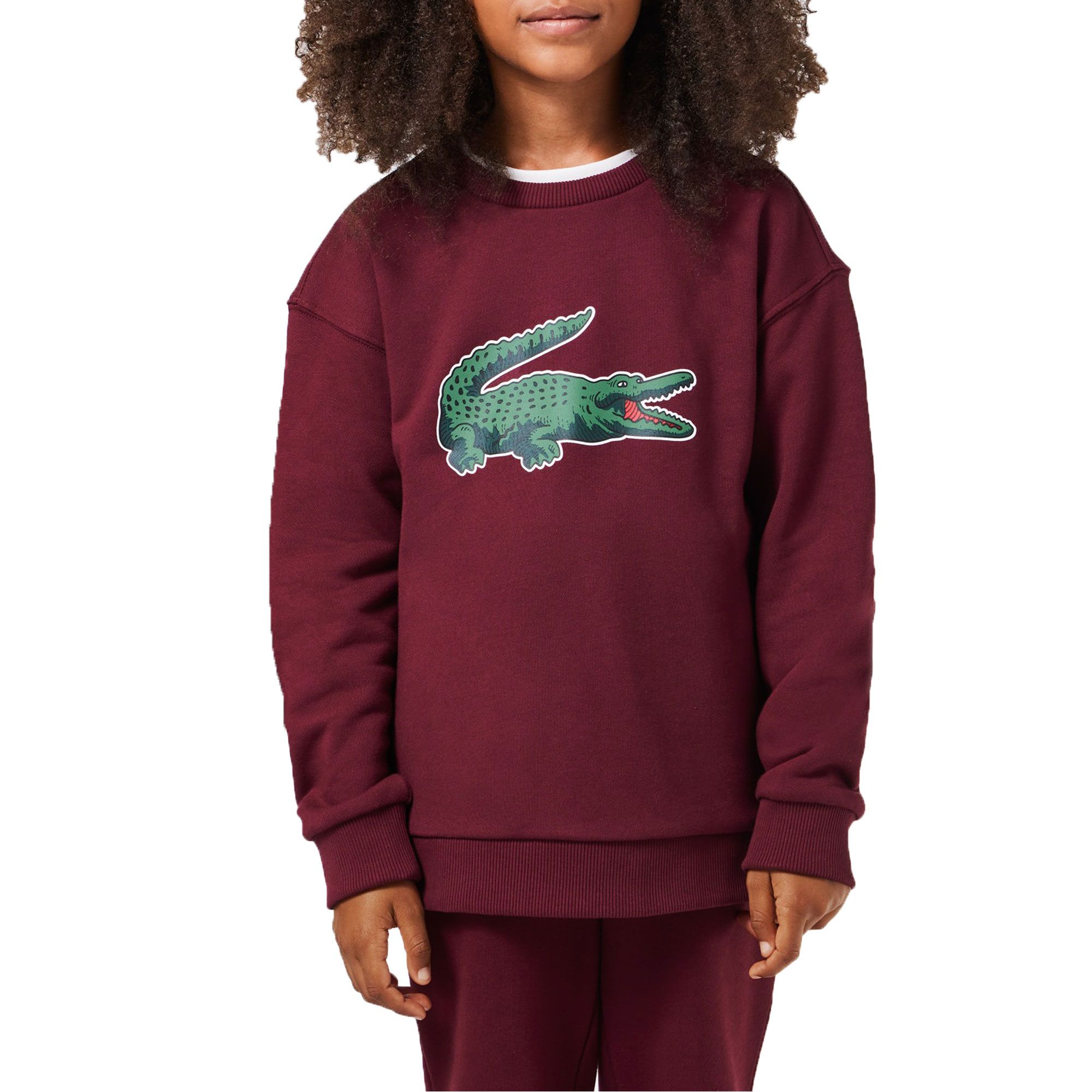 Lacoste Sweater Junior