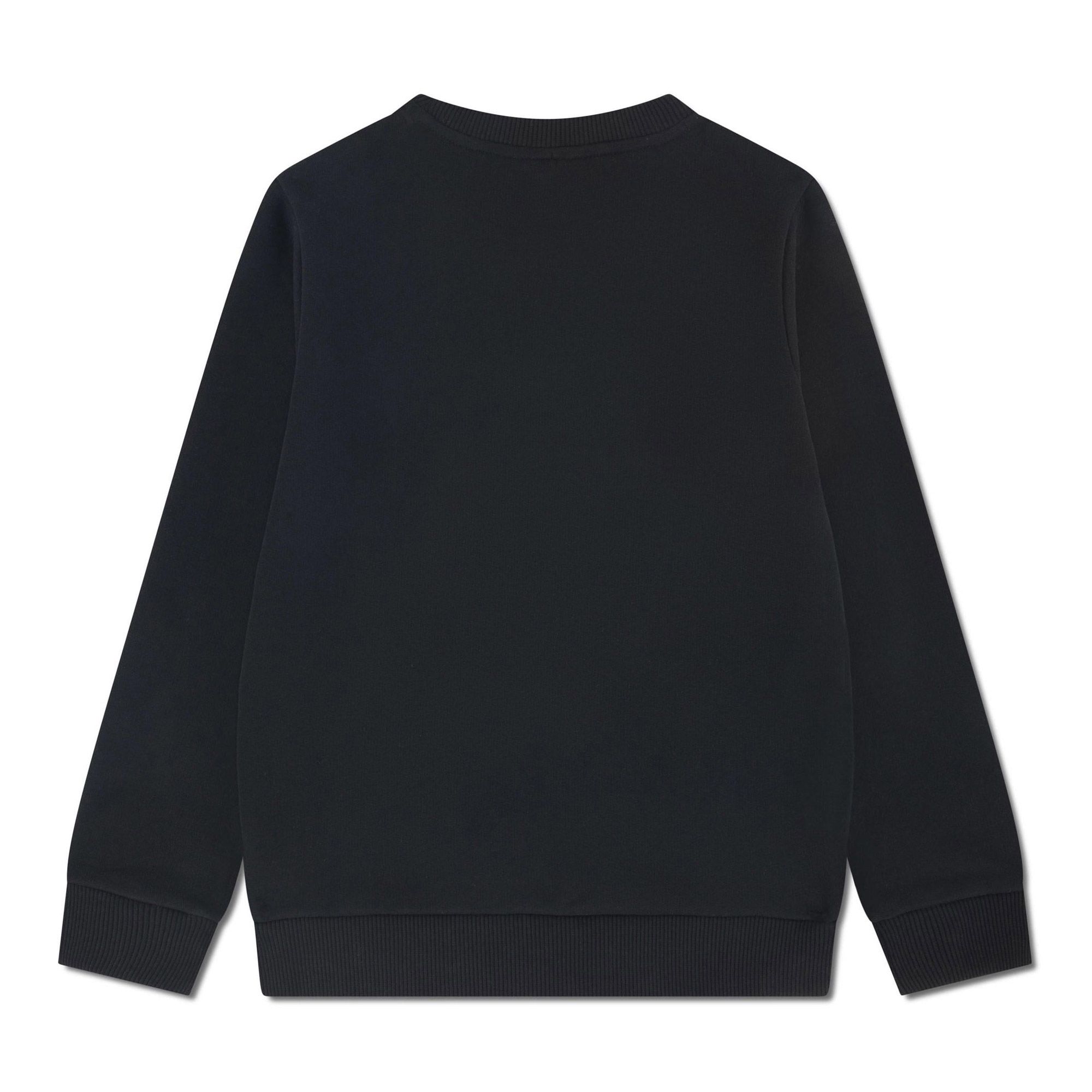 Lacoste Core Sweater Junior