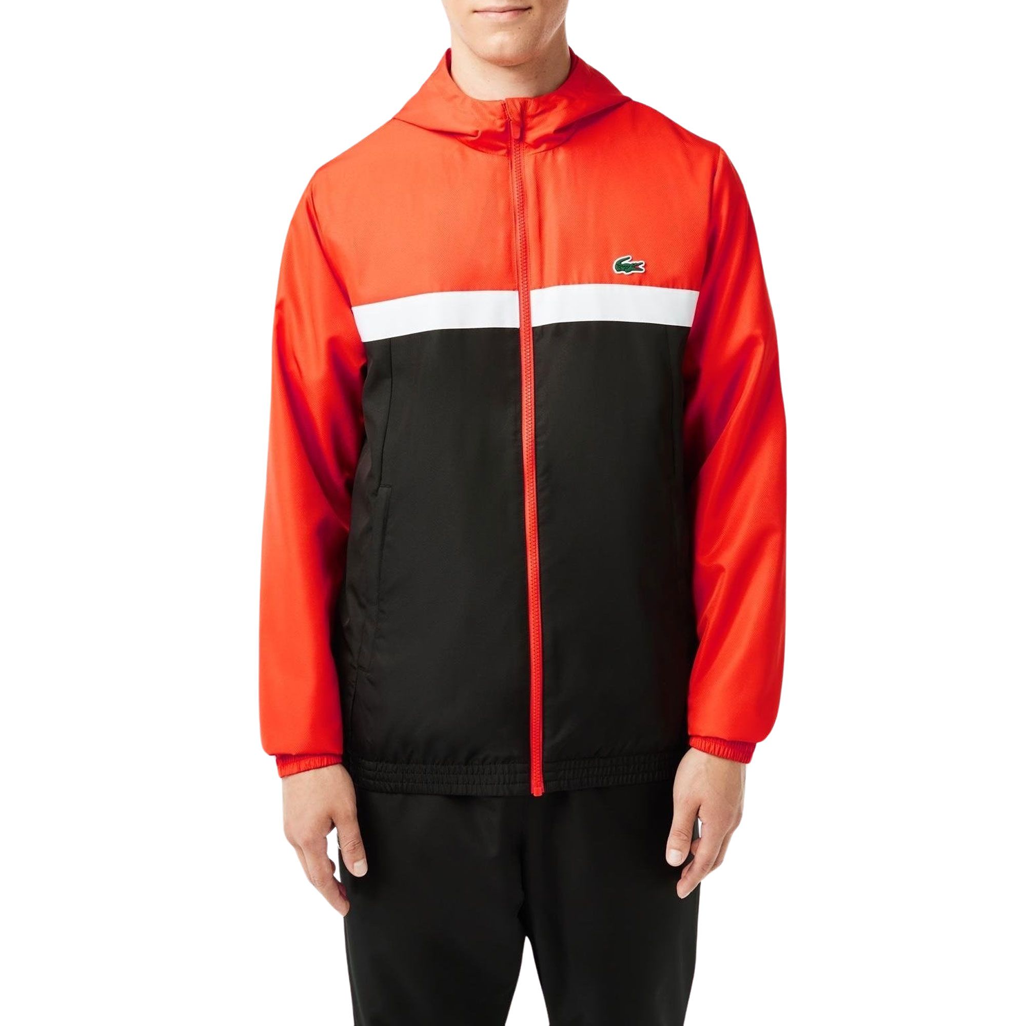 Lacoste Tracksuit Men