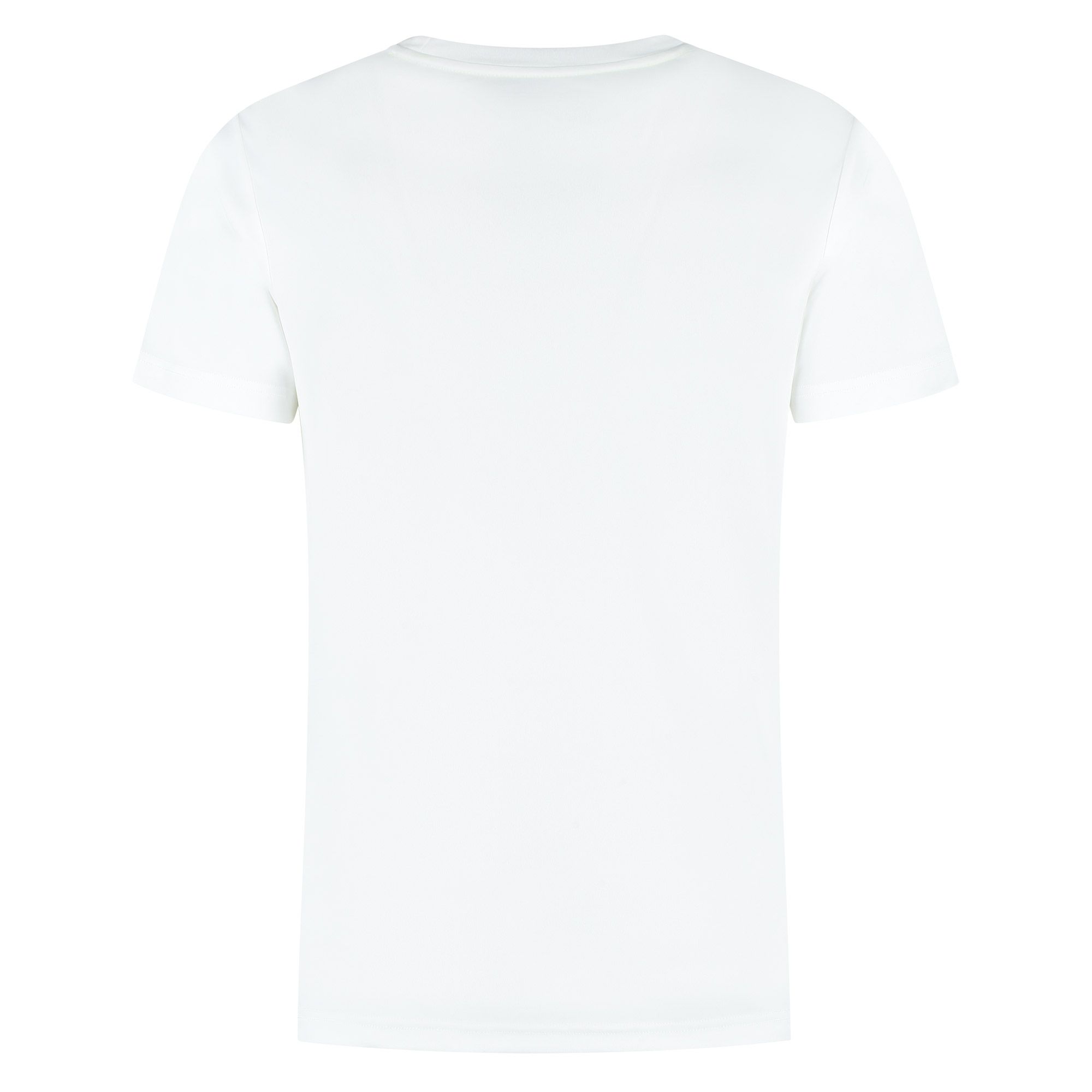 Mizuno Training Shirt Heren