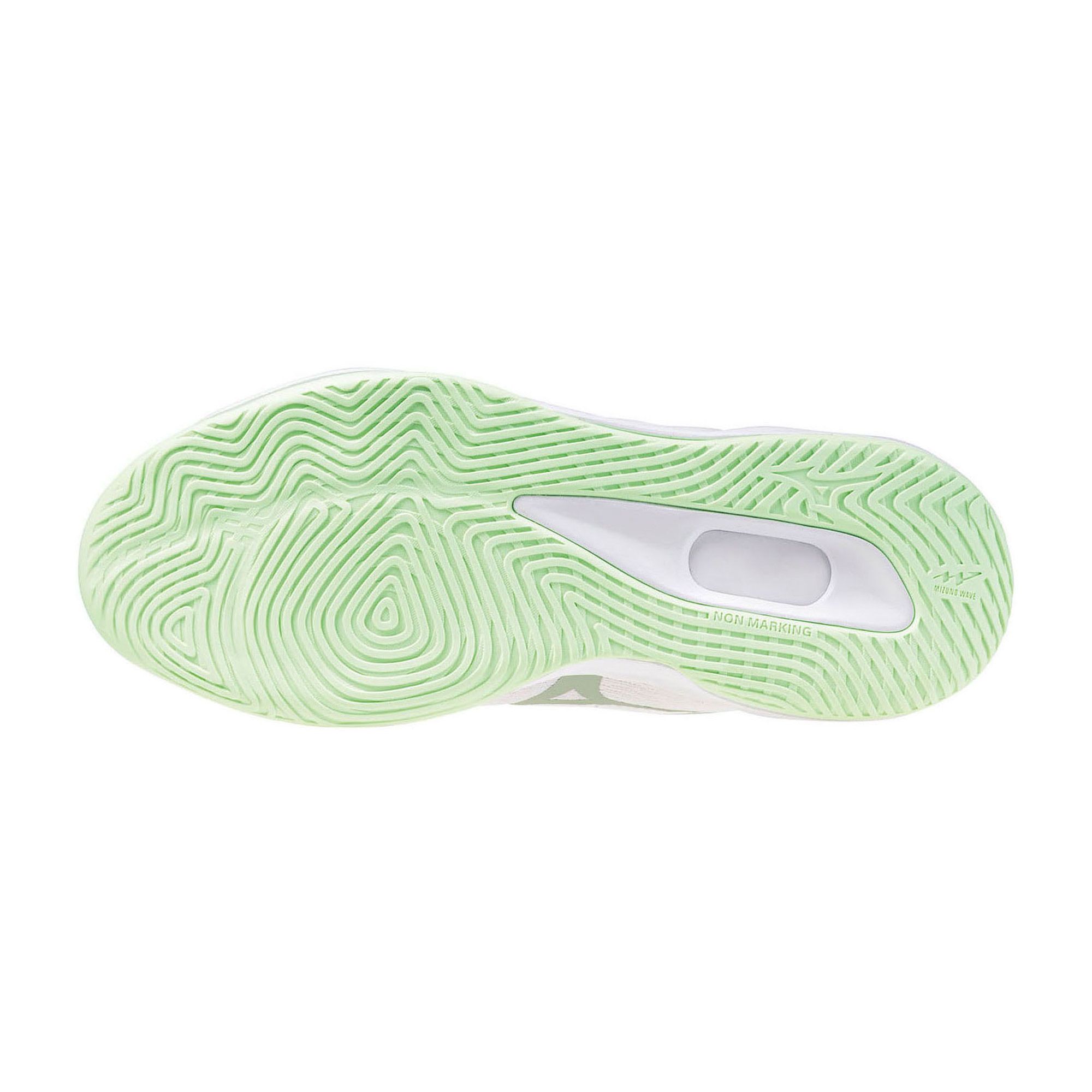 Mizuno Wave Luminous Pro Indoorschoenen Dames
