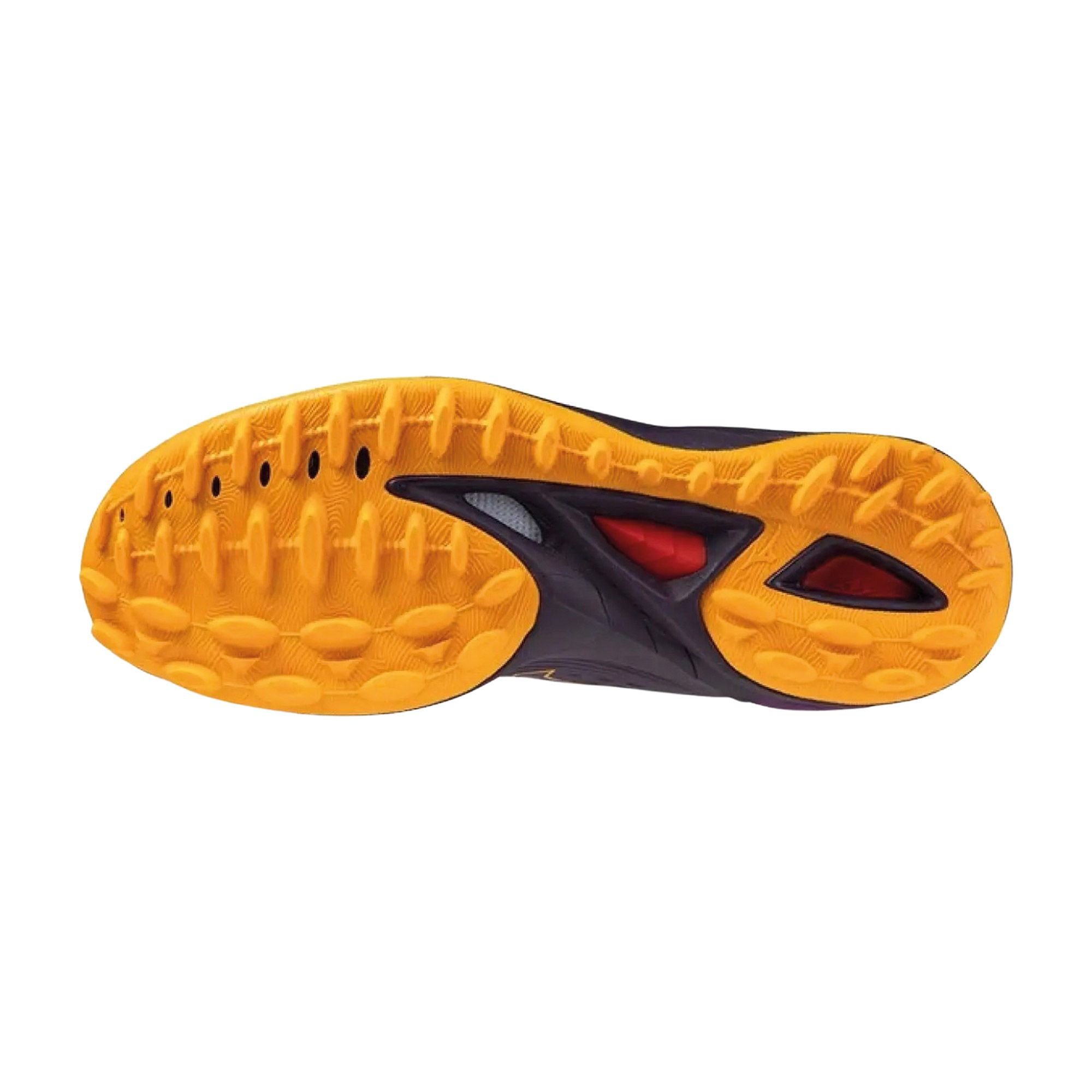 Mizuno Wave Leopardus Hockeyshoes Senior