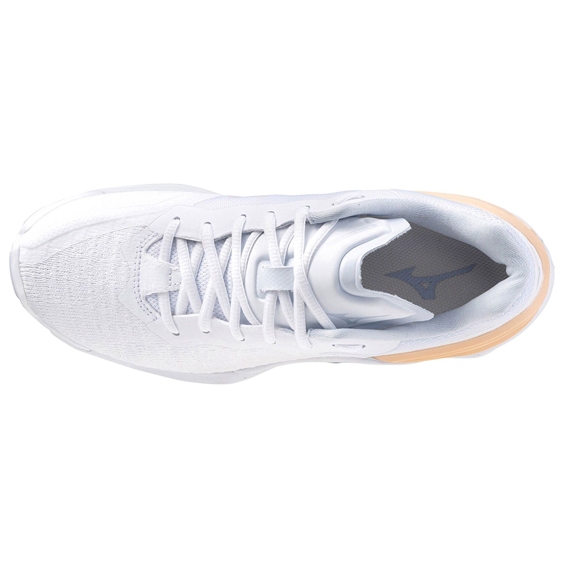 Mizuno Wave Stealth Neo Indoorschoenen Dames