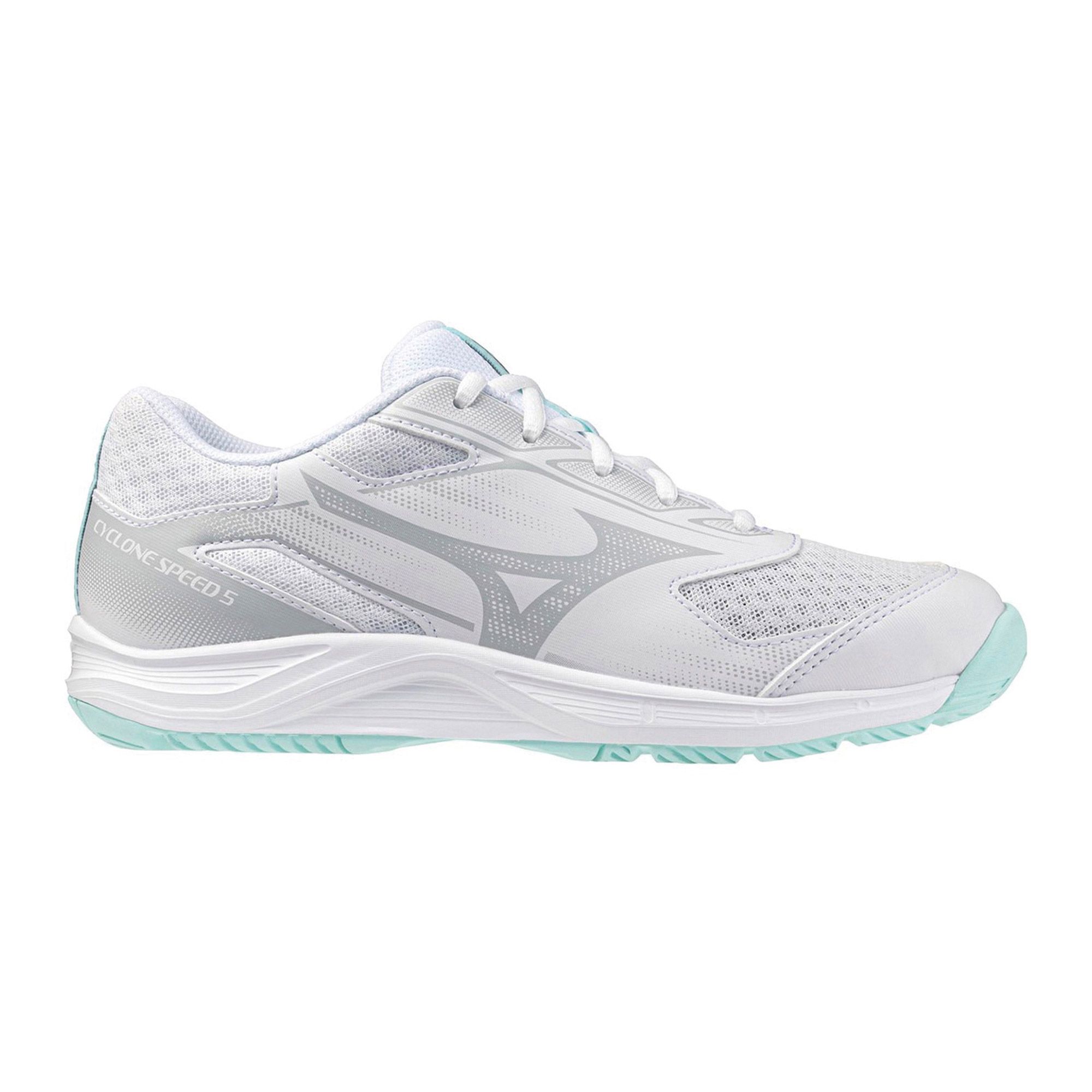 Mizuno Cyclone Speed 5 Indoorschoenen Dames