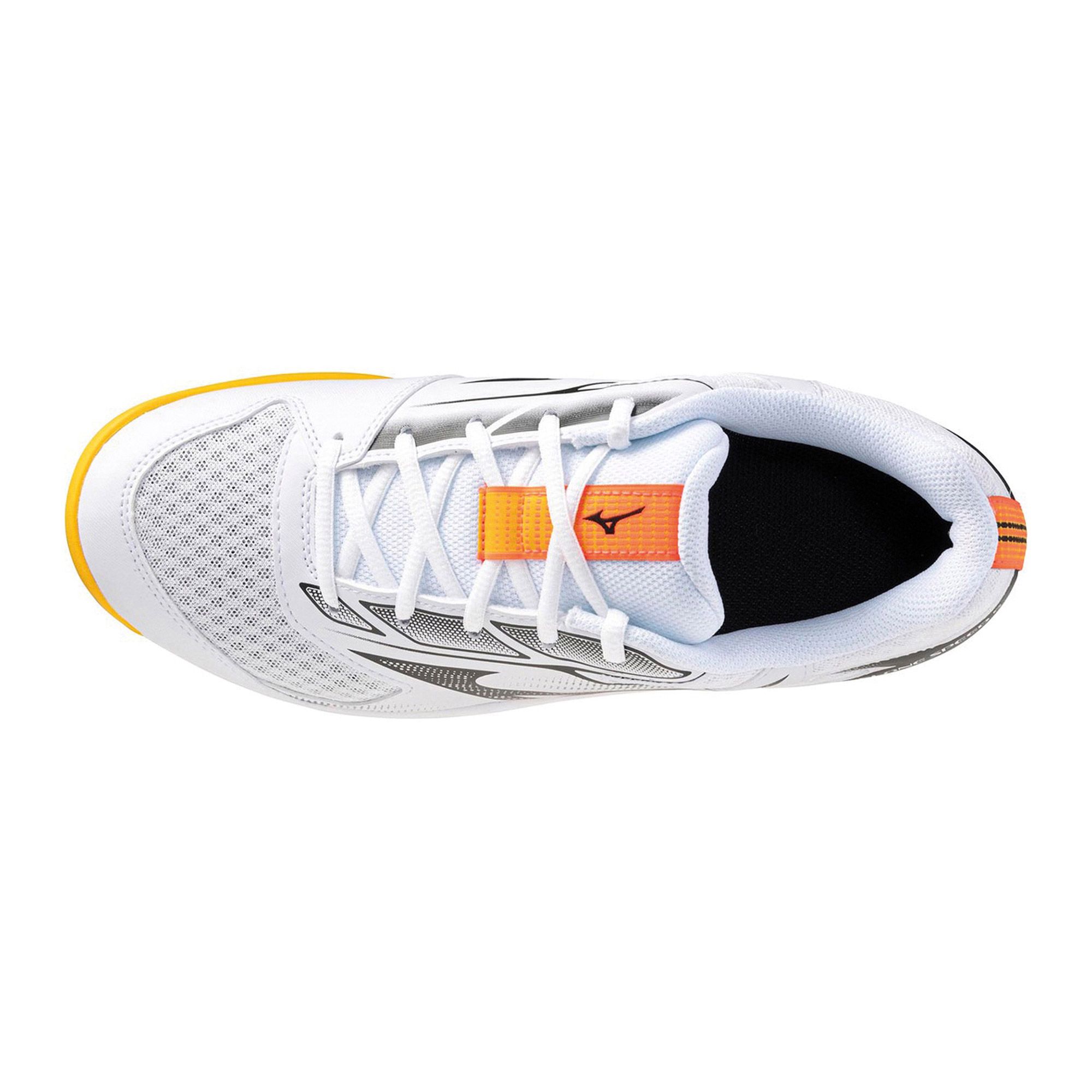 Mizuno Cyclone Speed 5 Indoorschoenen Heren