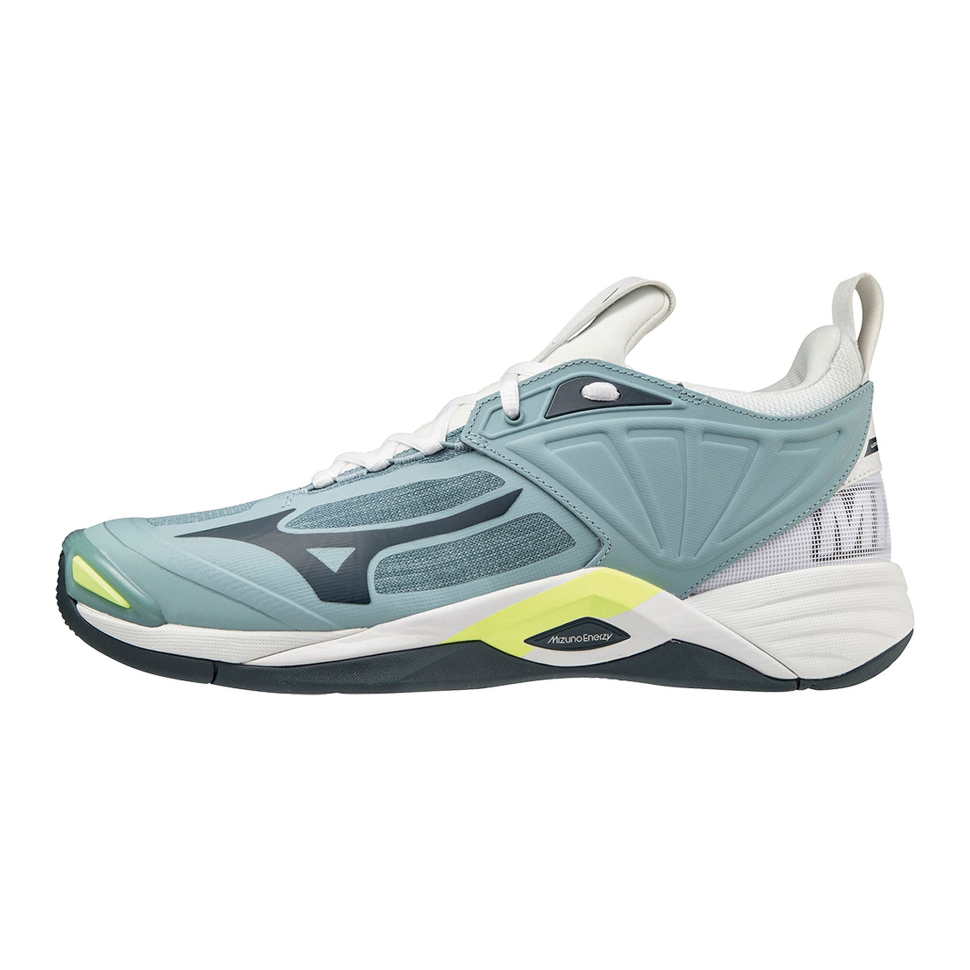 Mizuno Wave Momentum 2 Indoorshoes Men | Plutosport