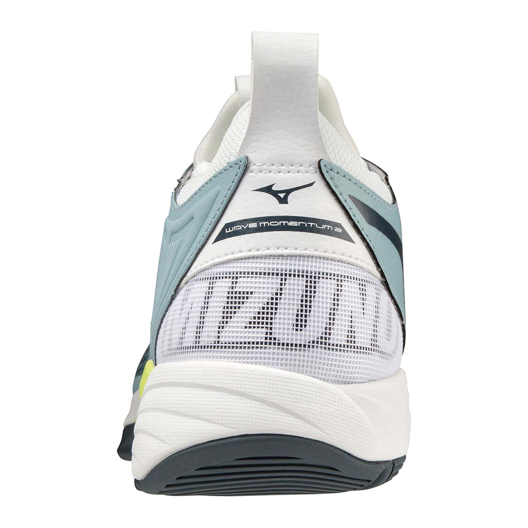 Mizuno Wave Momentum 2 Indoorshoes Men | Plutosport