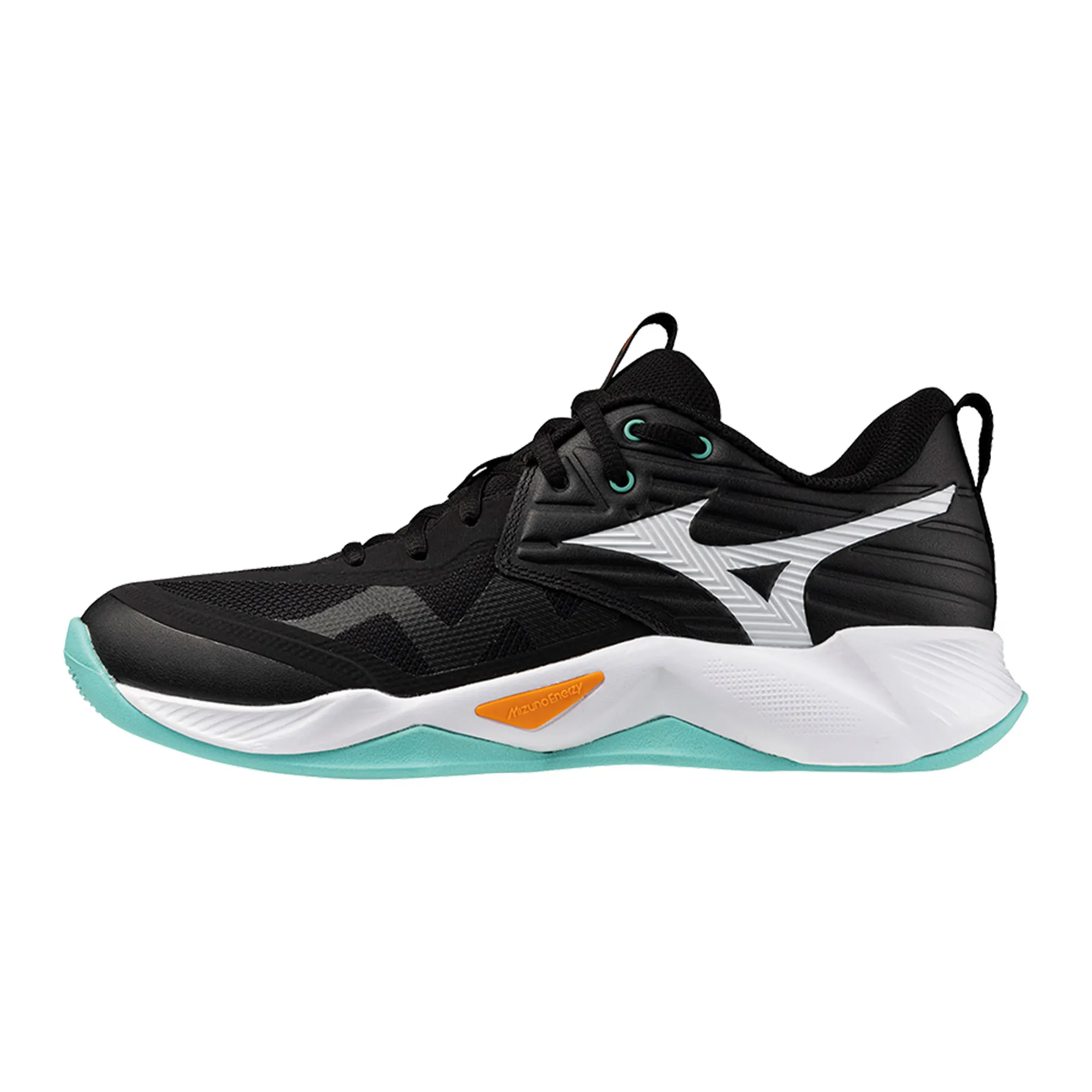 Mizuno Wave Momentum Pro Indoorschoenen Heren
