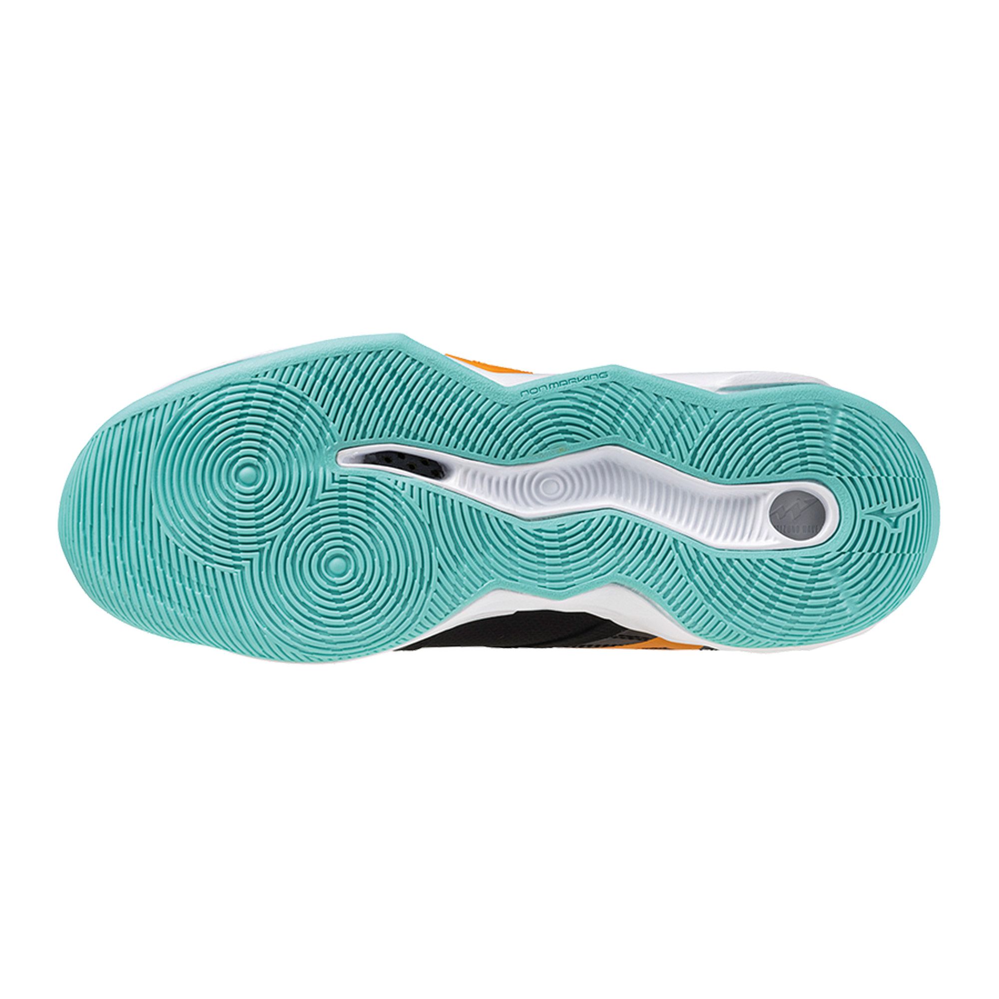 Mizuno Wave Momentum Pro Indoorschoenen Heren