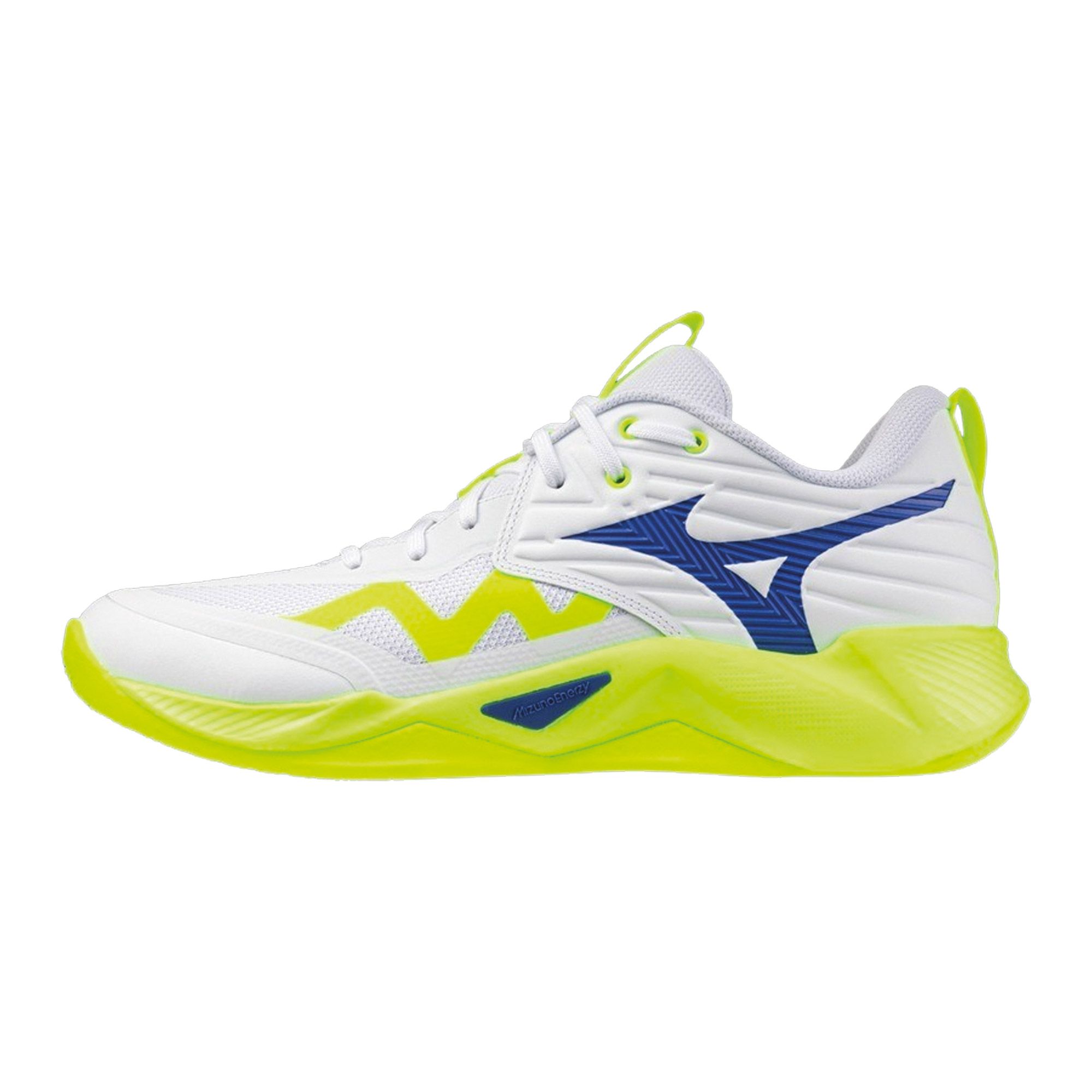 Mizuno Wave Momentum Pro Indoorschoenen Heren