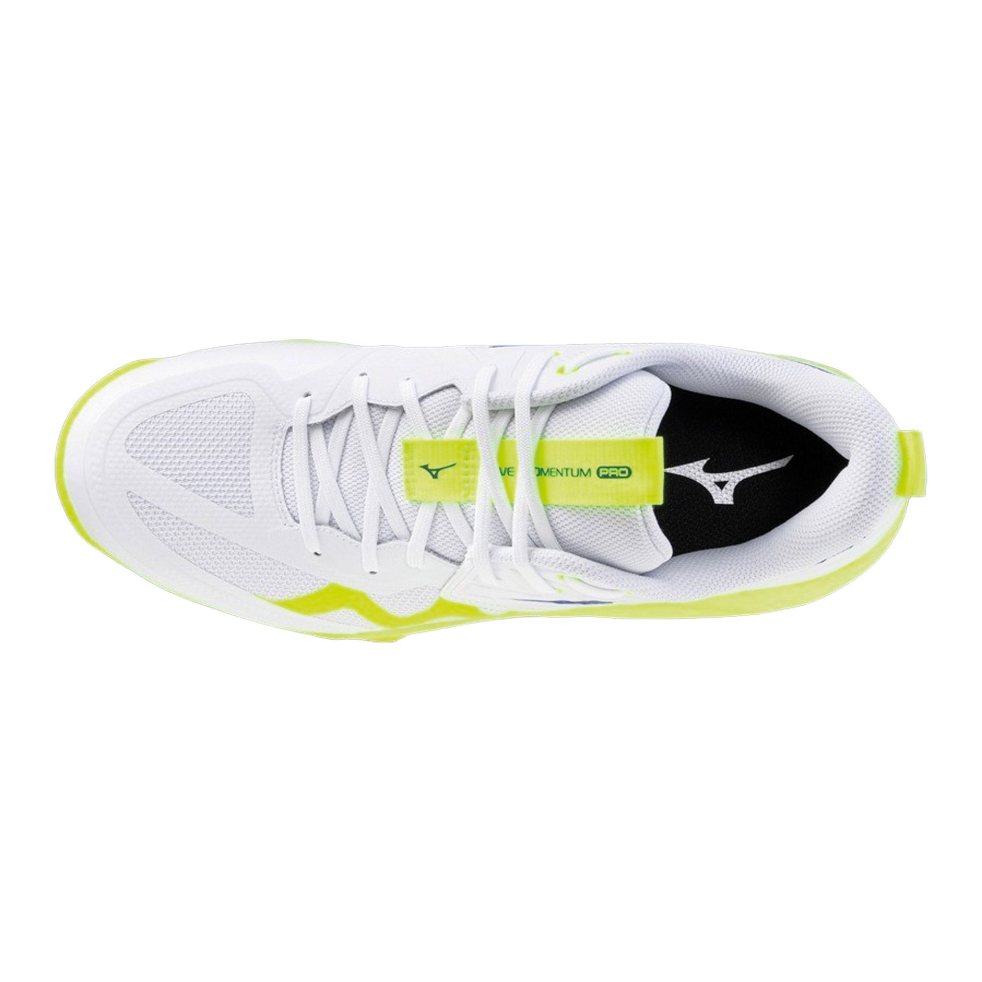 Chaussures en salle Mizuno Wave Momentum Pro Hommes
