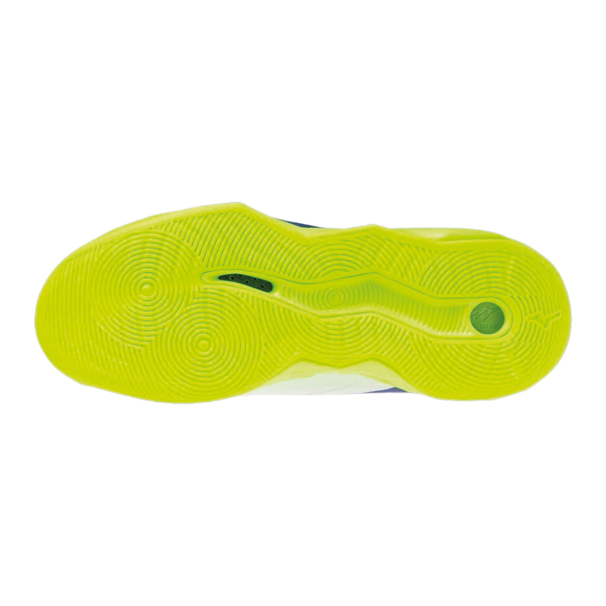 Chaussures en salle Mizuno Wave Momentum Pro Hommes