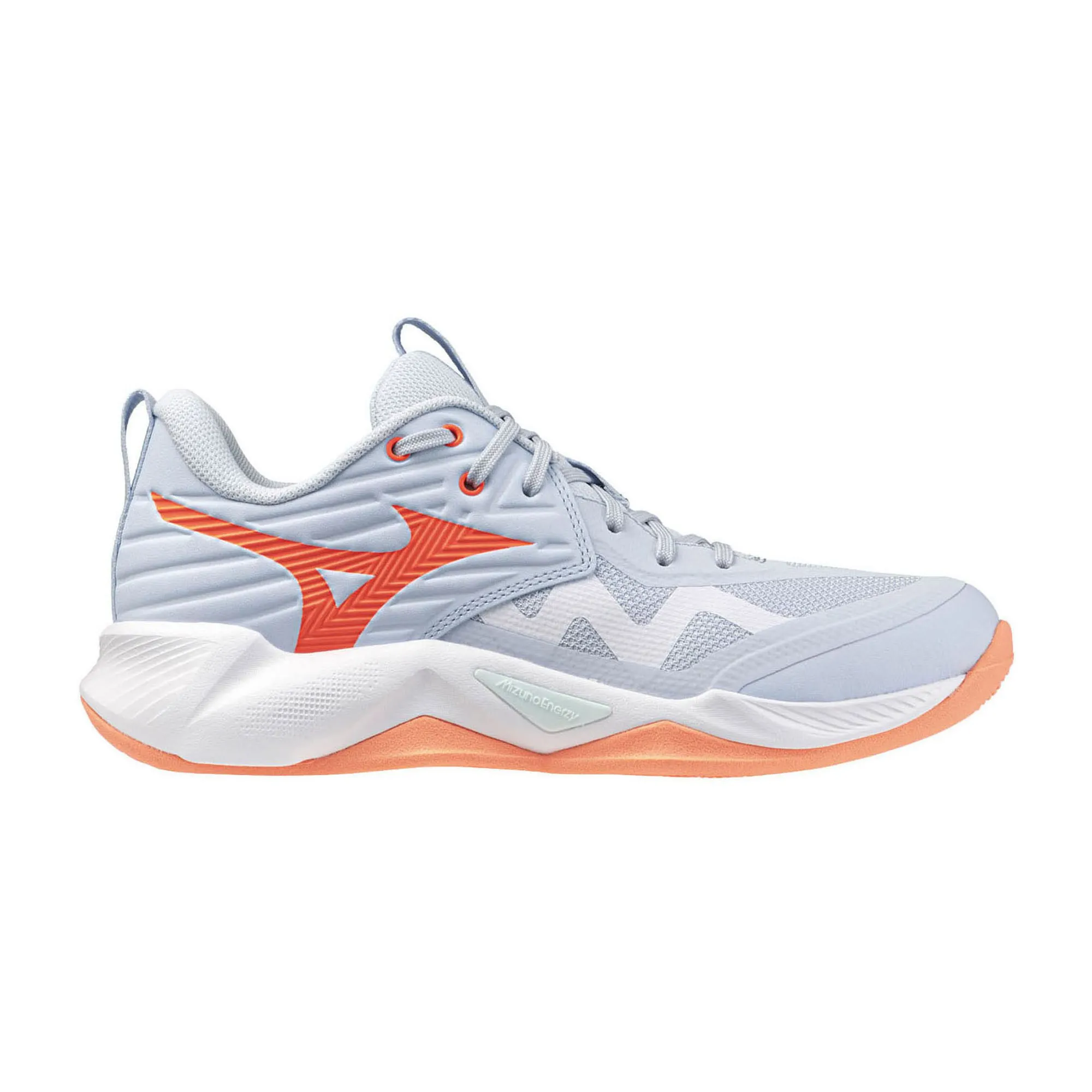 Chaussures en salle Mizuno Wave Momentum Pro Femmes