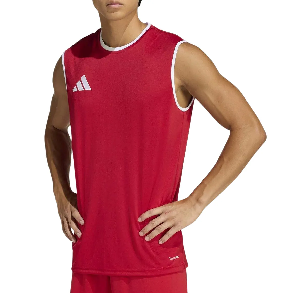 Adidas Entrada 26 Sleeveless Training Top Heren