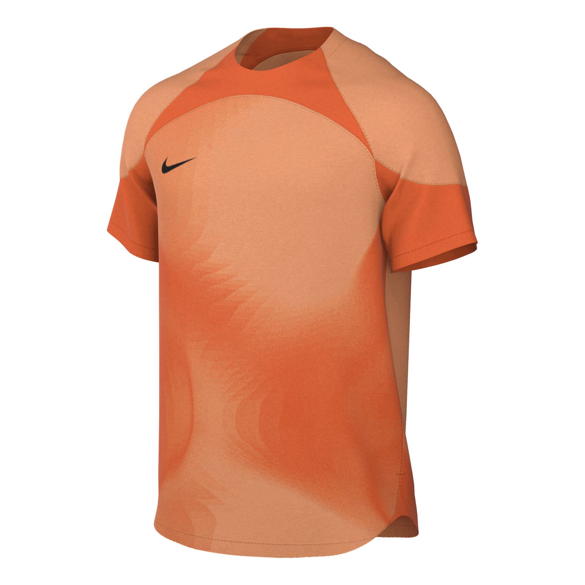 Nike Gardien IV Keepersshirt Heren