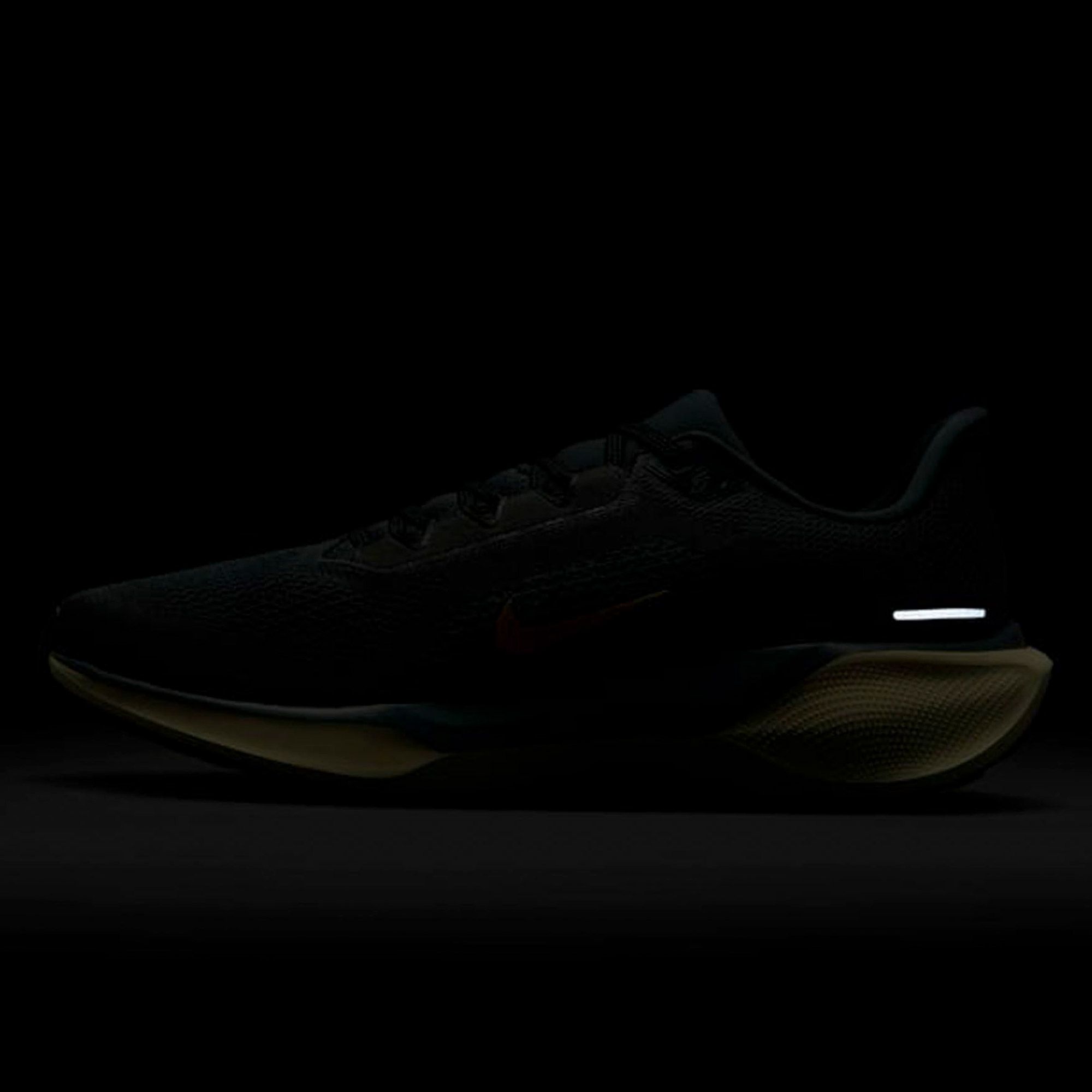 Nike Air Zoom Pegasus 41 Hardloopschoenen Heren