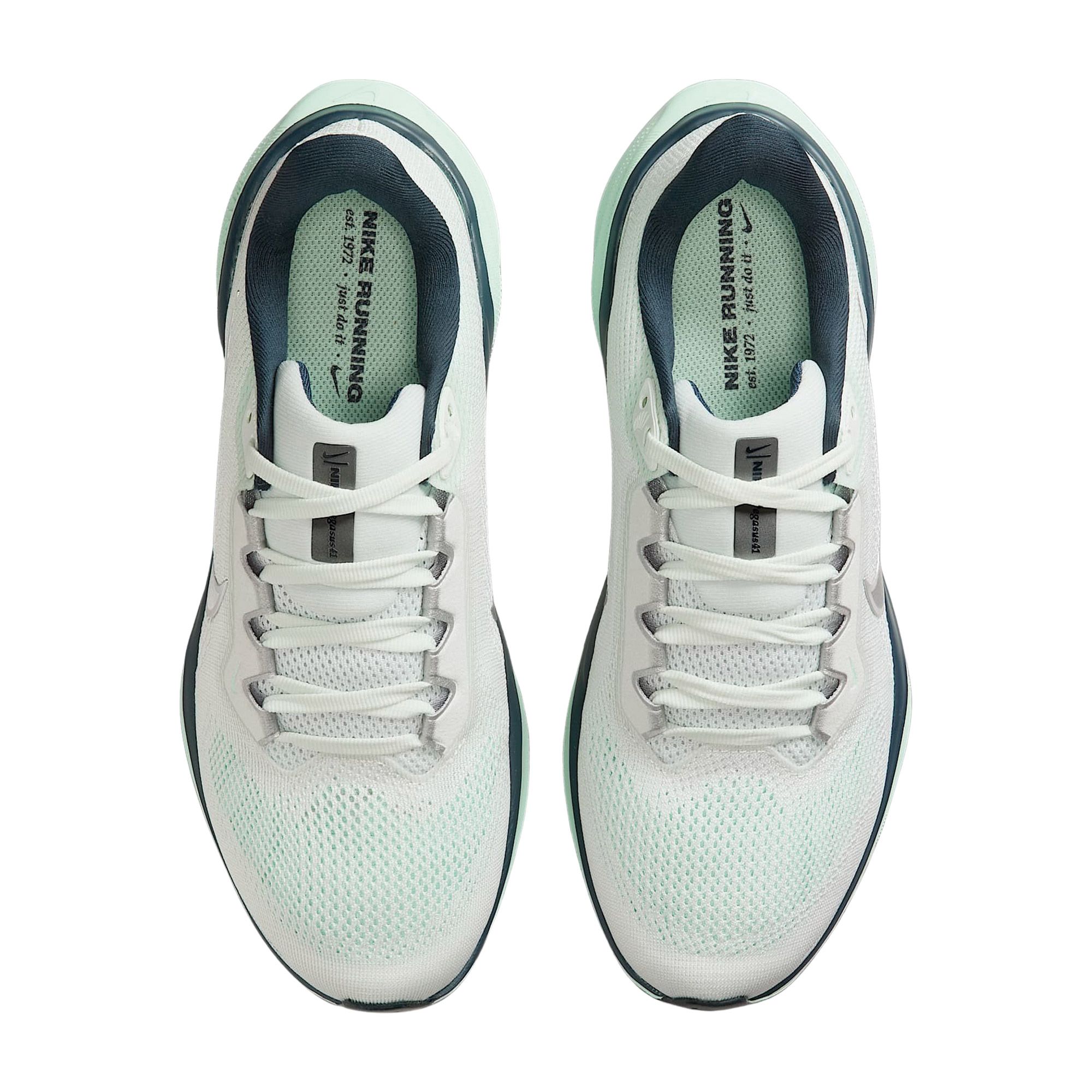 Nike Air Zoom Pegasus 41 Hardloopschoenen Dames