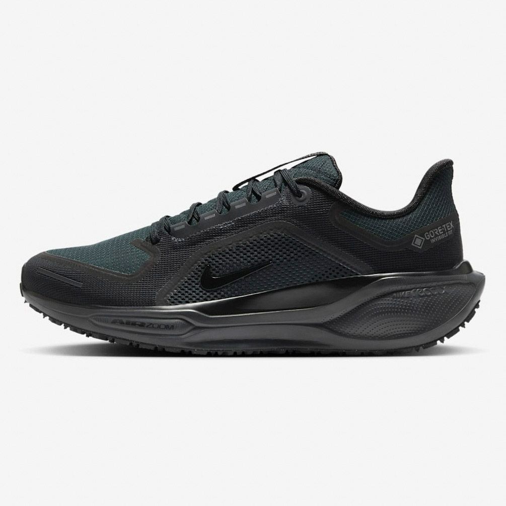 Nike Pegasus 41 GORE-TEX Hardloopschoenen Heren