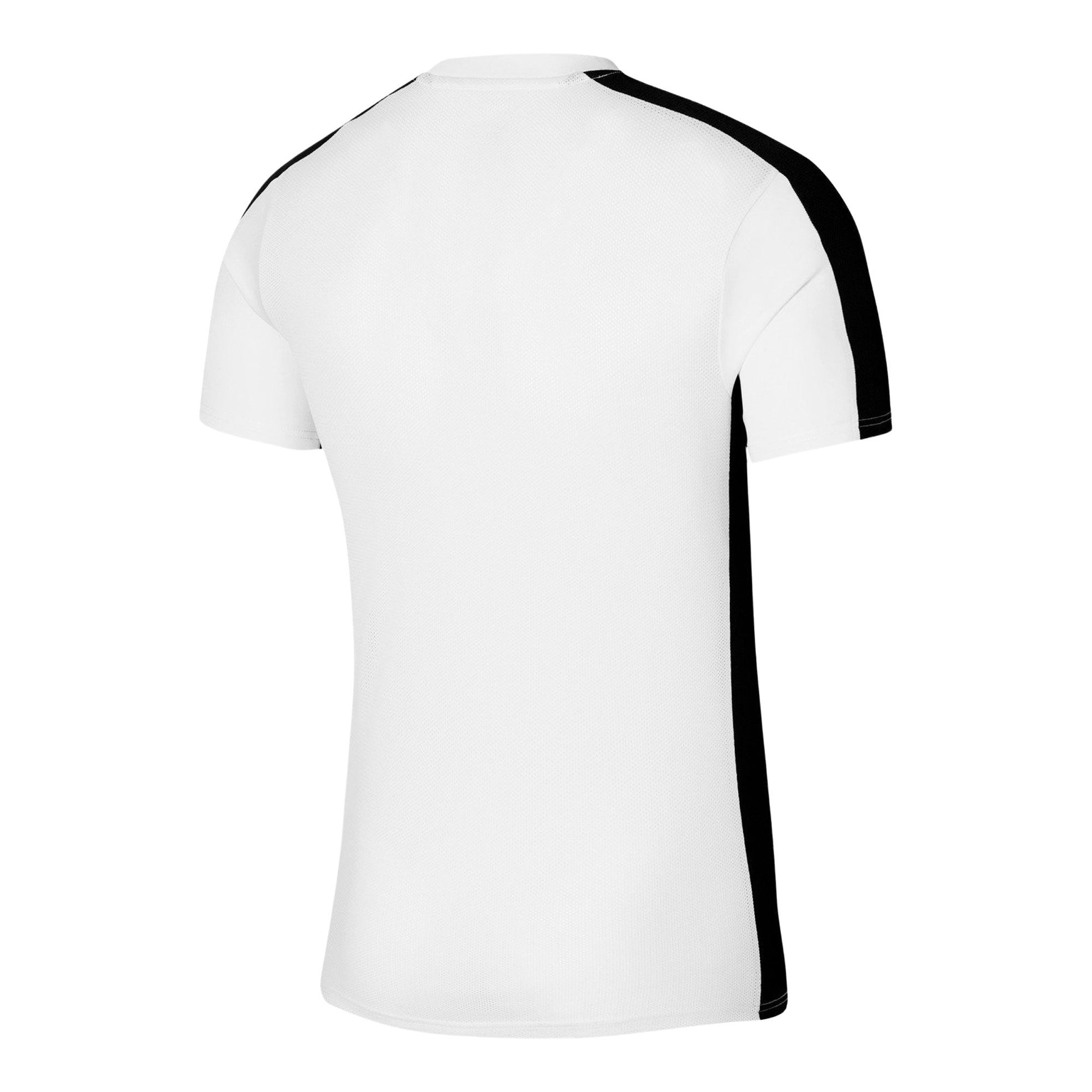Nike Dri-FIT Academy 23 Shirt Heren