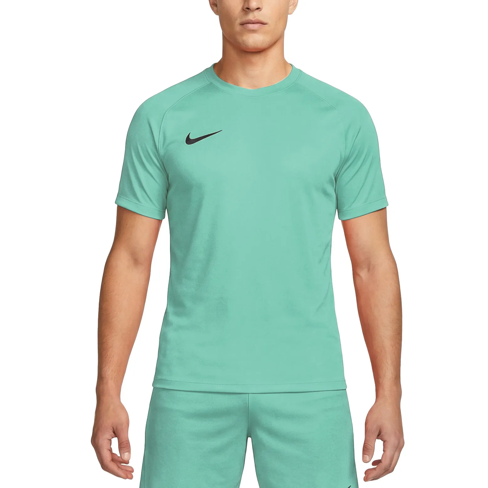 Nike Dri-FIT Park VIII SS Shirt Heren