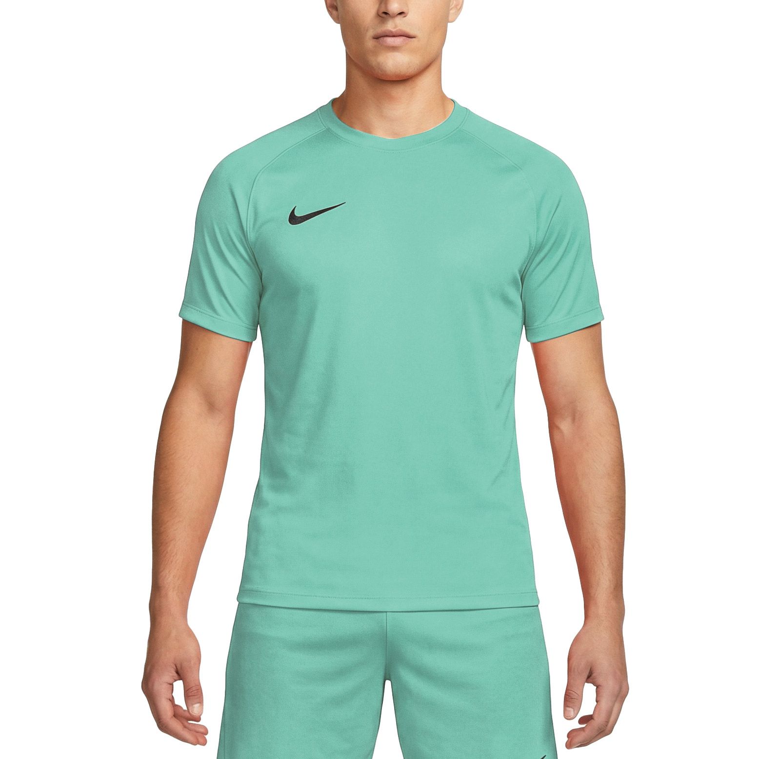 Nike Dri-FIT Park VIII SS Shirt Heren