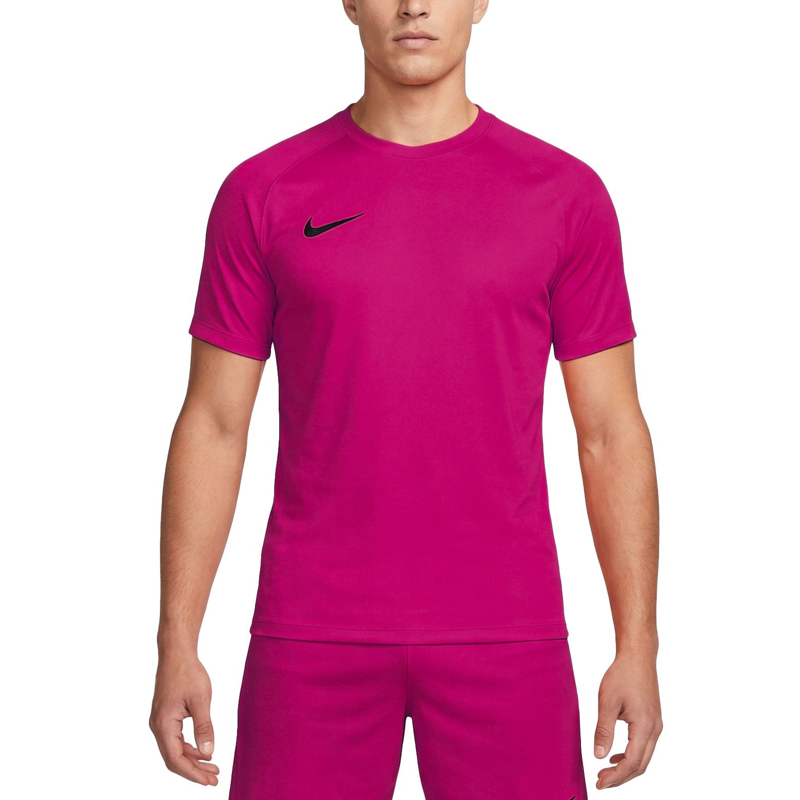 Nike Dri-FIT Park VIII SS Shirt Heren