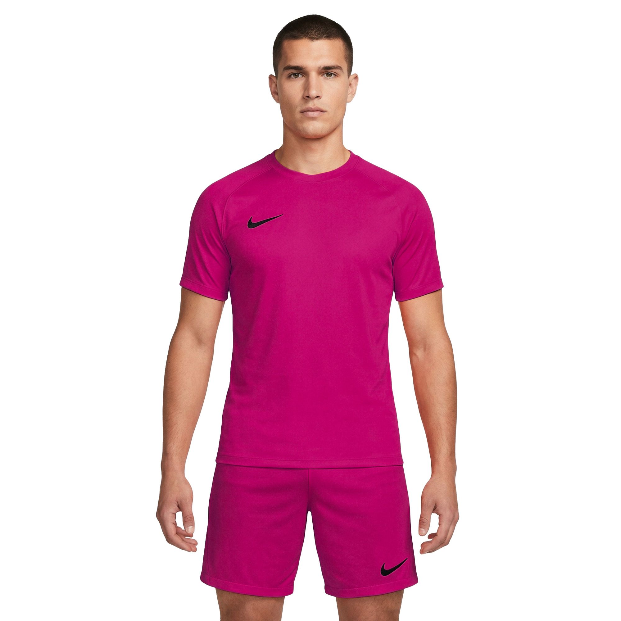Nike Dri-FIT Park VIII SS Shirt Heren