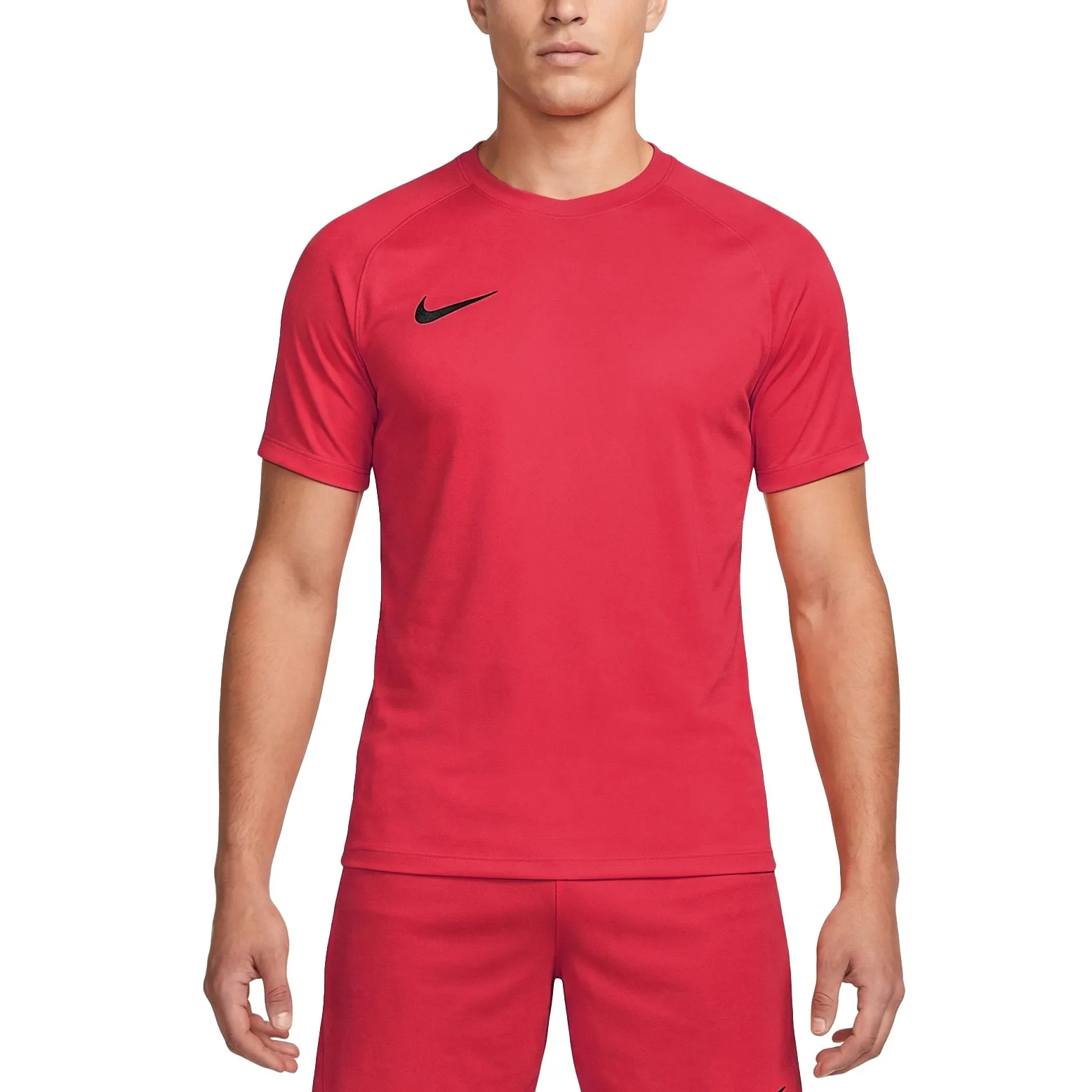 Nike Dri-FIT Park VIII SS Shirt Heren