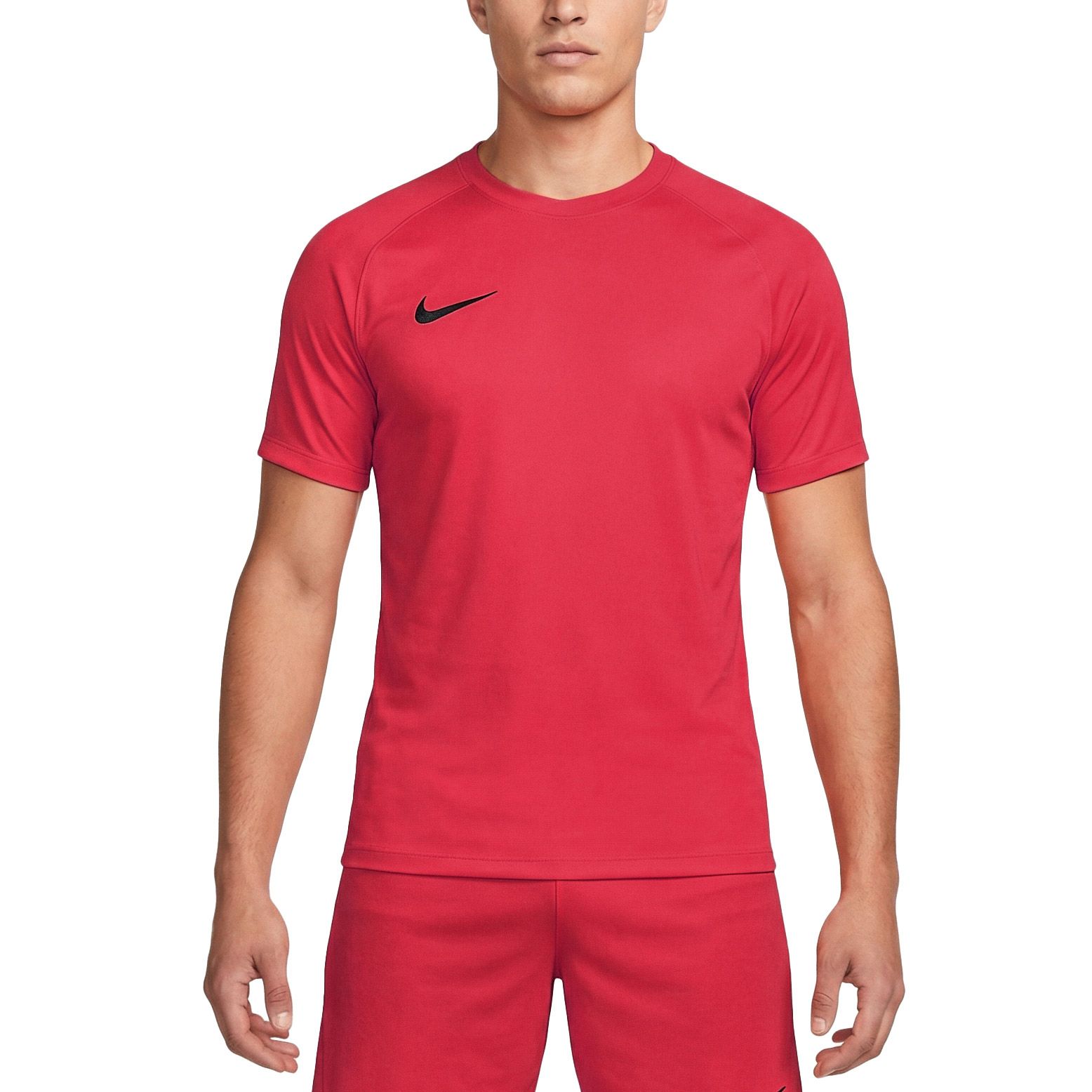 Nike Dri-FIT Park VIII SS Shirt Heren