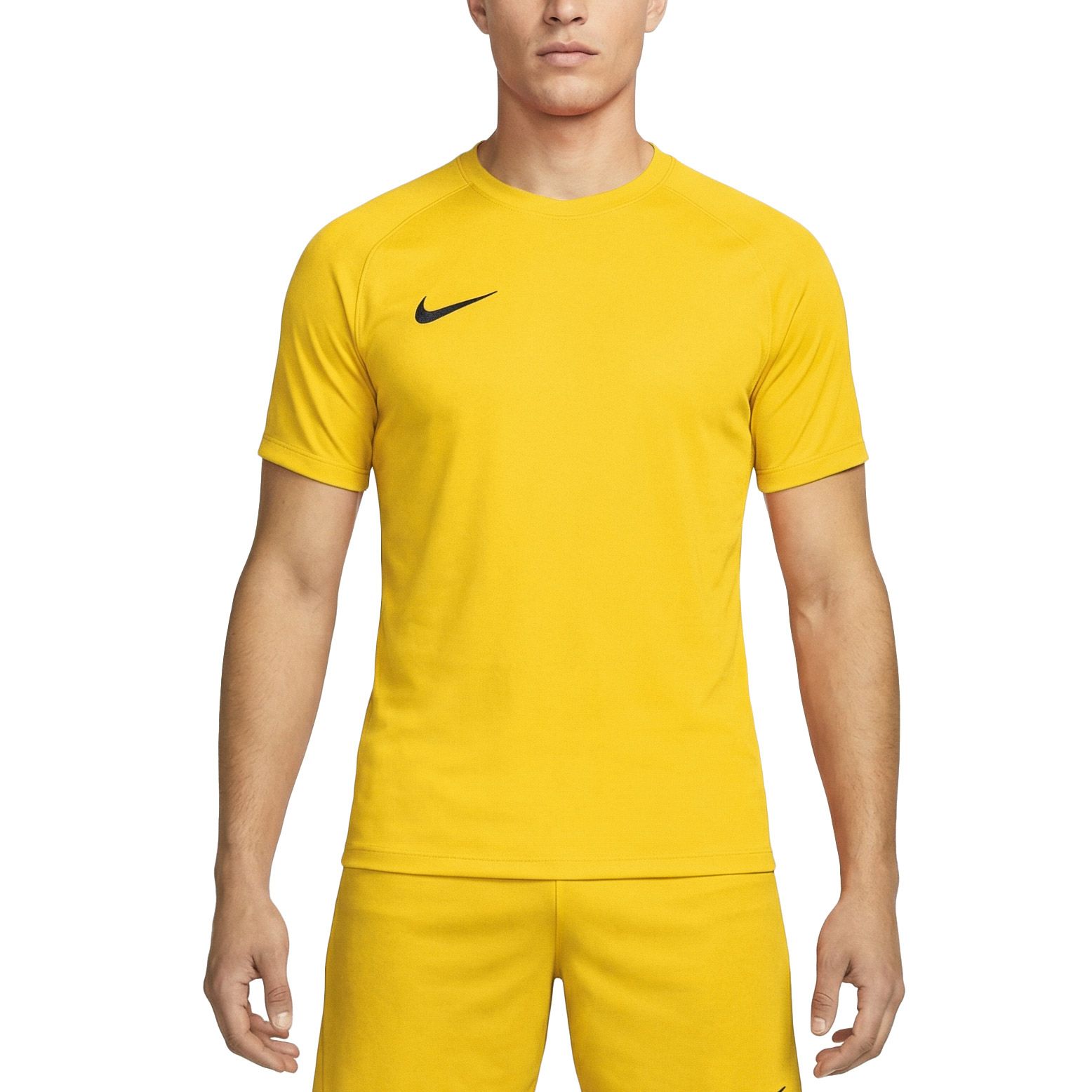 Nike Dri-FIT Park VIII SS Shirt Heren