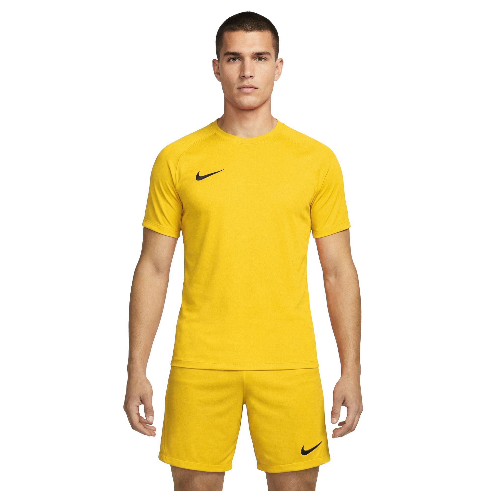 Shirt Nike Dri-FIT Park VIII SS Hommes | Plutosport