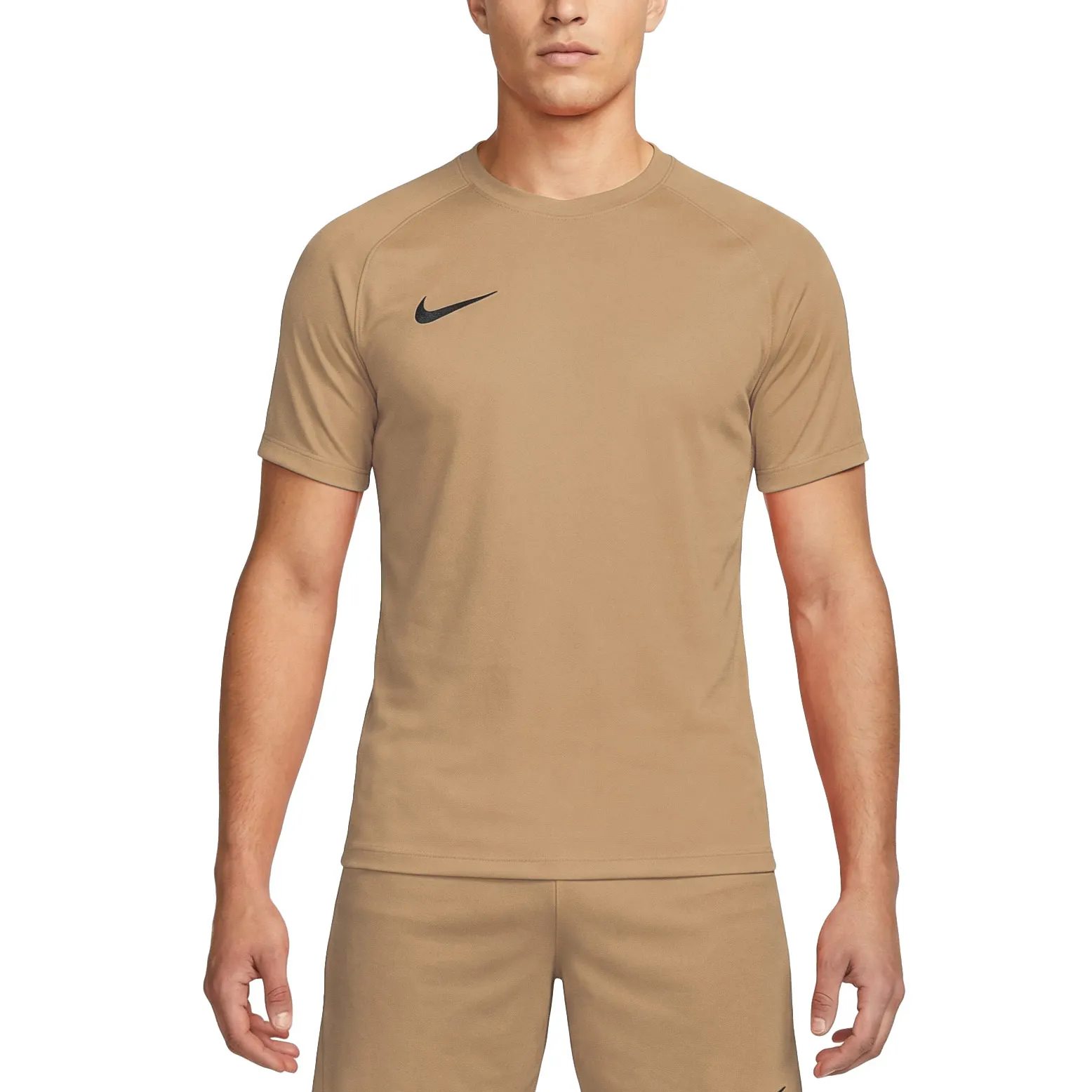 Nike Dri-FIT Park VIII SS Shirt Heren