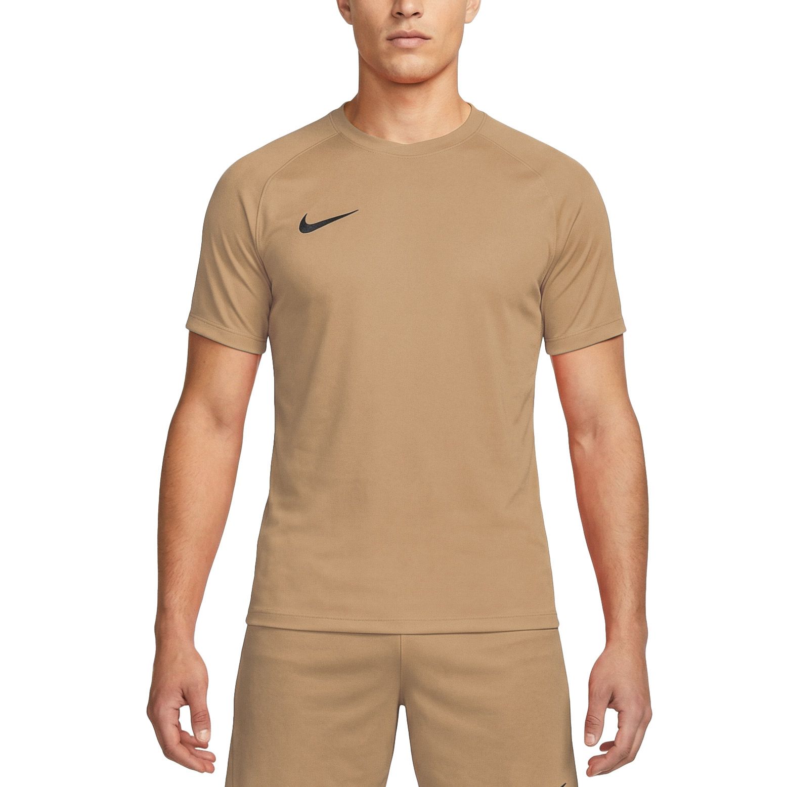 Nike Dri-FIT Park VIII SS Shirt Heren
