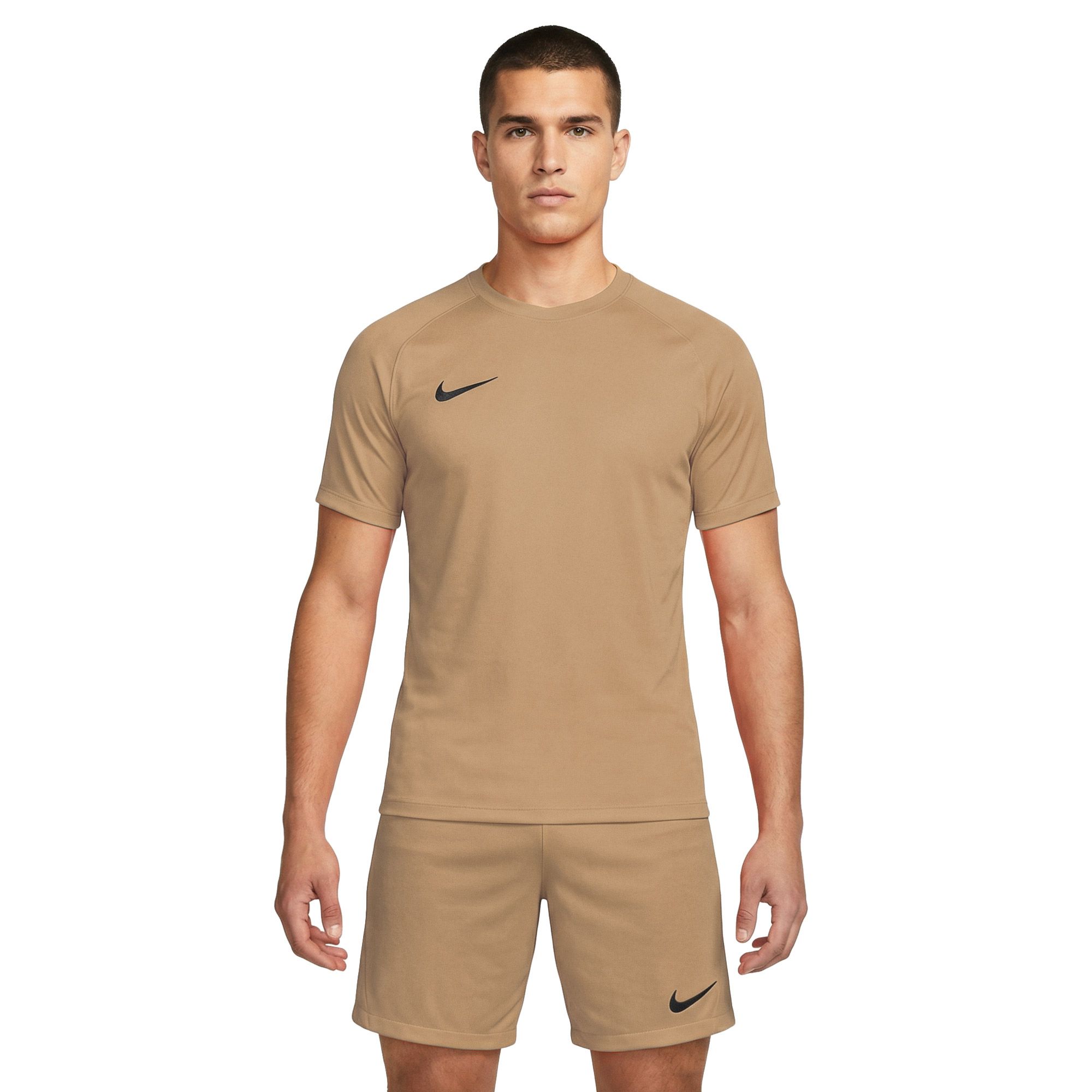 Nike Dri-FIT Park VIII SS Shirt Heren