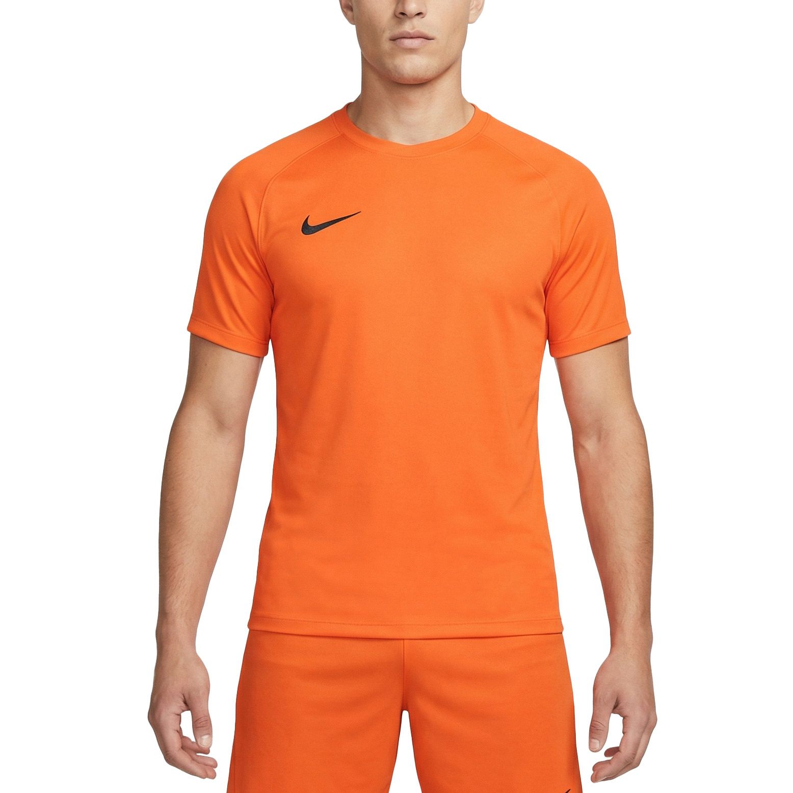 Nike Dri-FIT Park VIII SS Shirt Heren