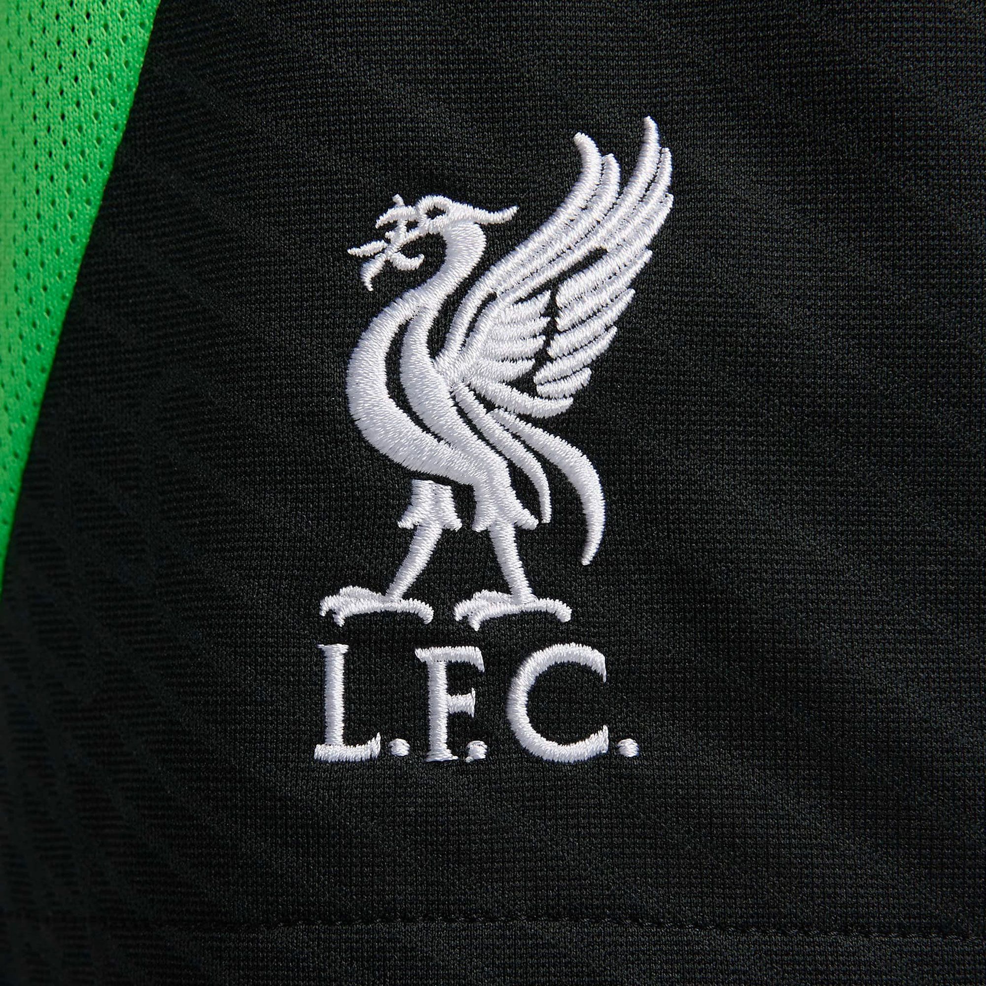 Nike Liverpool FC Strike Short Heren
