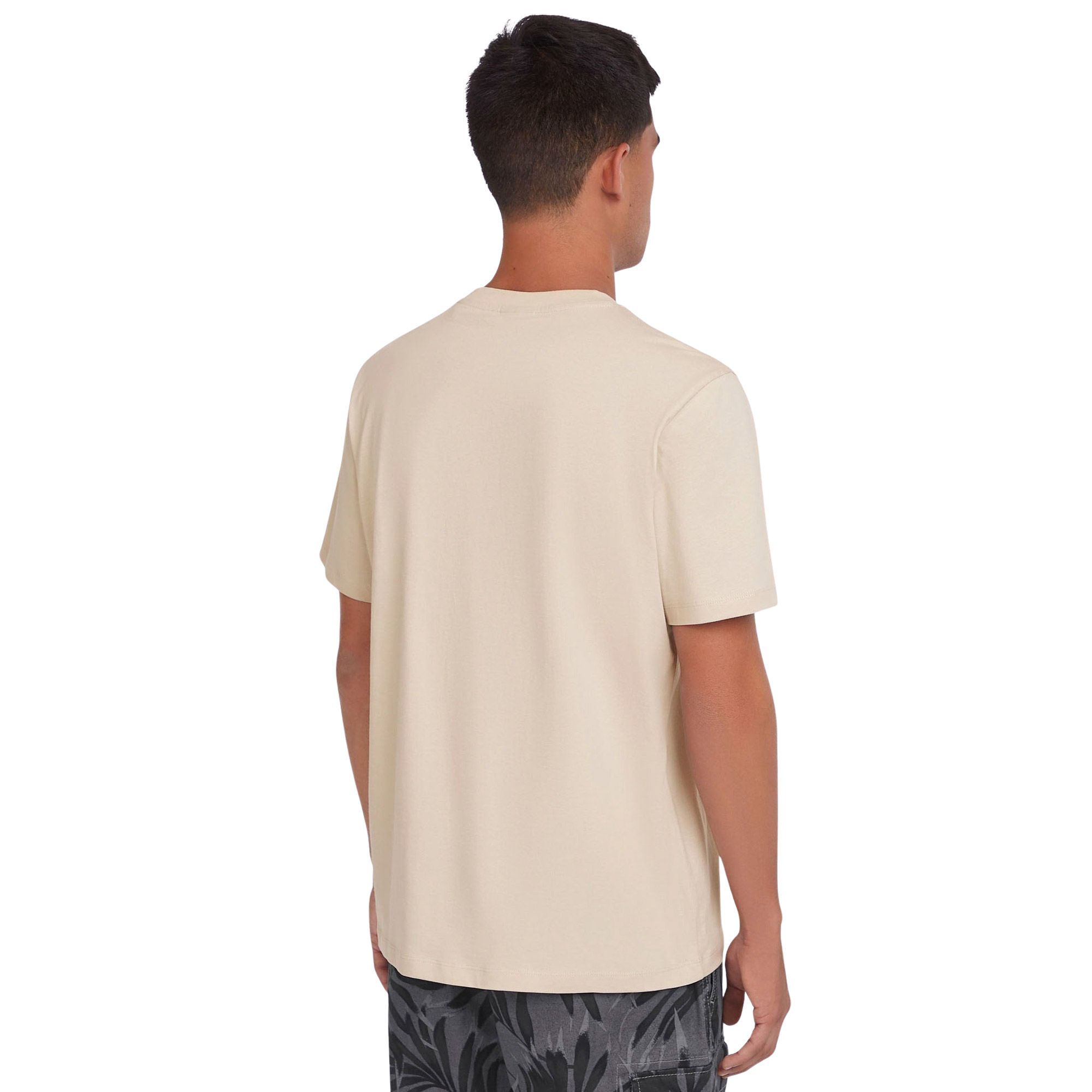 O'Neill Small Logo Shirt Heren