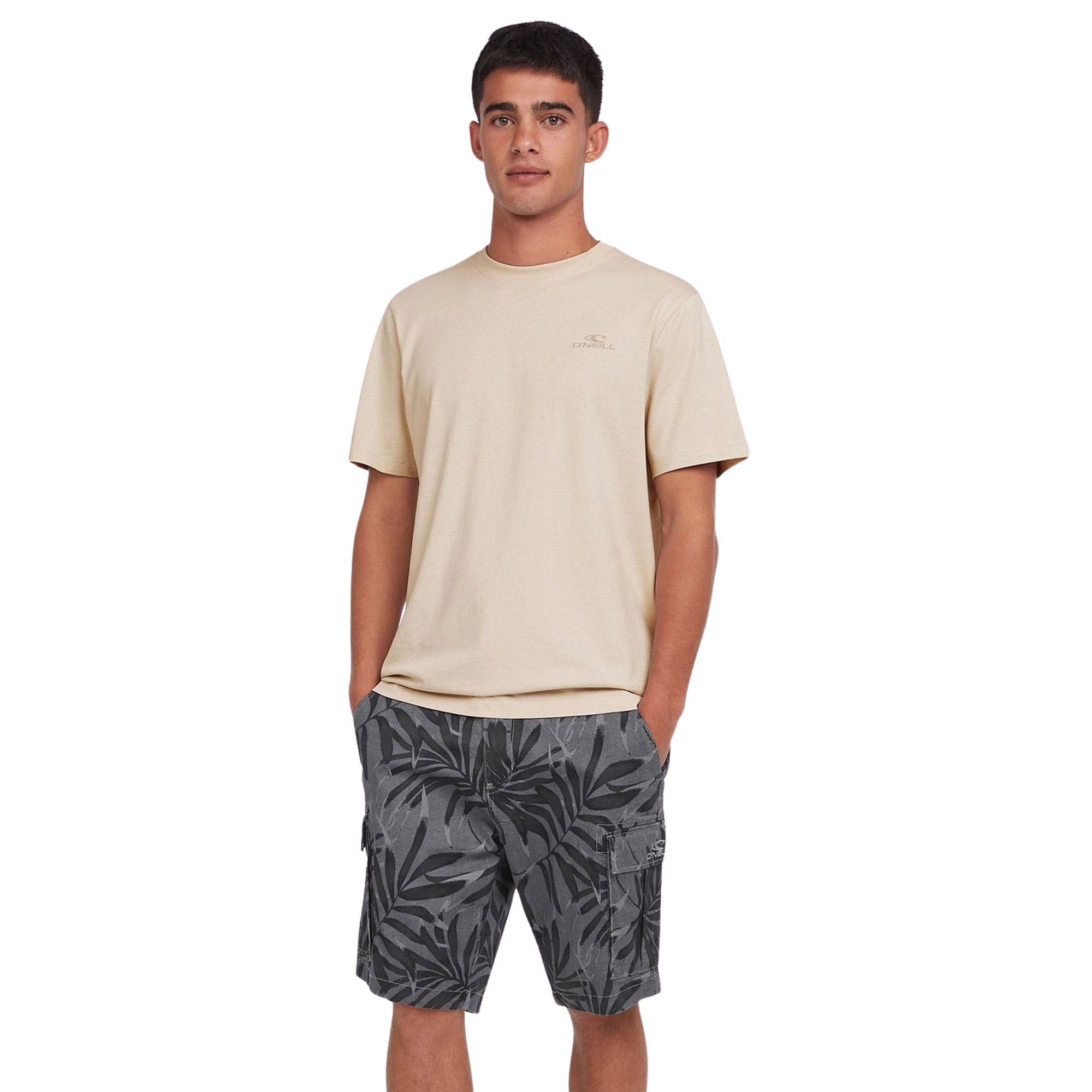 O'Neill Small Logo Shirt Heren
