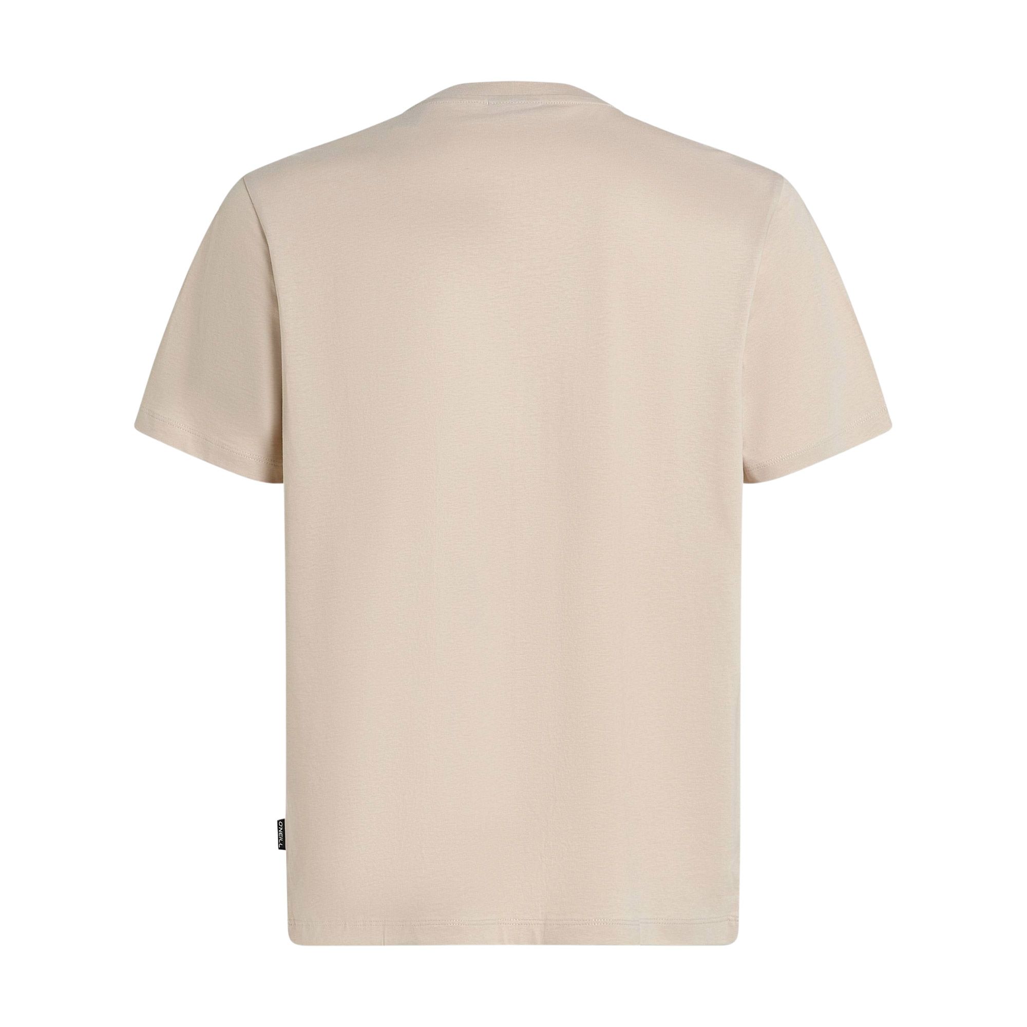 O'Neill Small Logo Shirt Heren