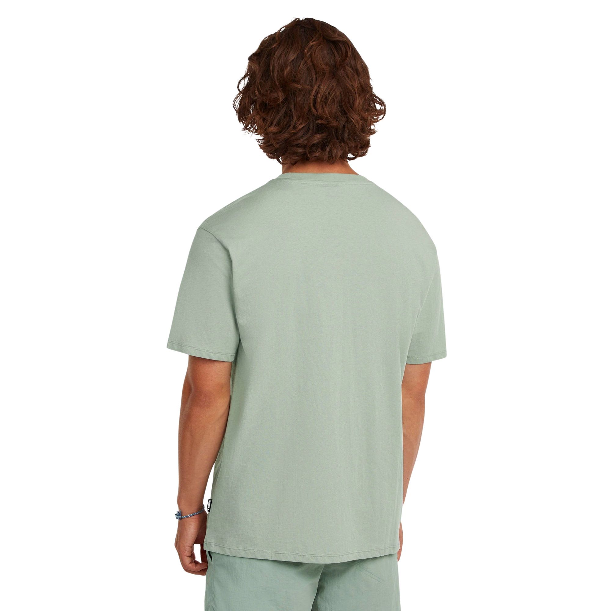 O'Neill Small Logo T-shirt Heren