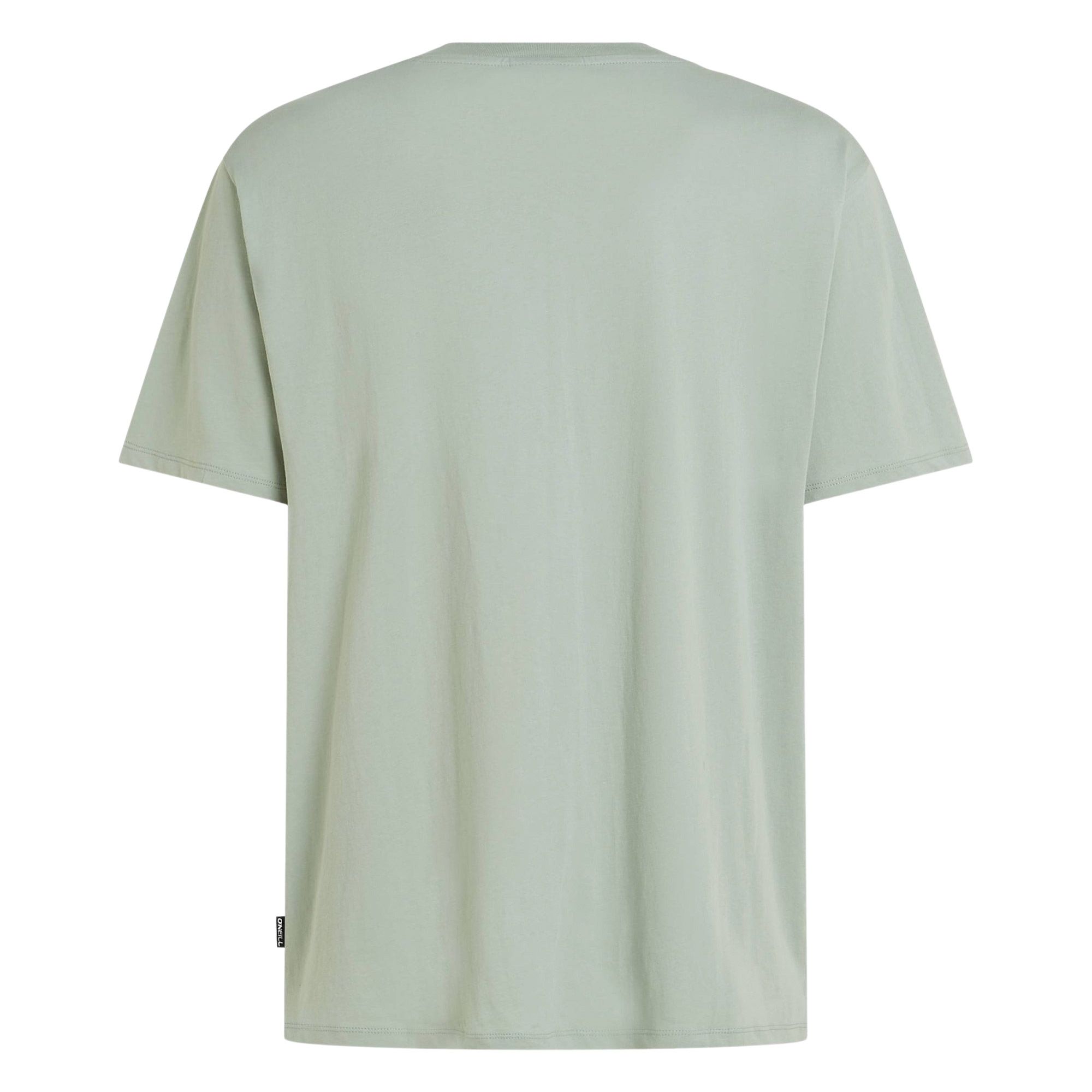 O'Neill Small Logo T-shirt Heren