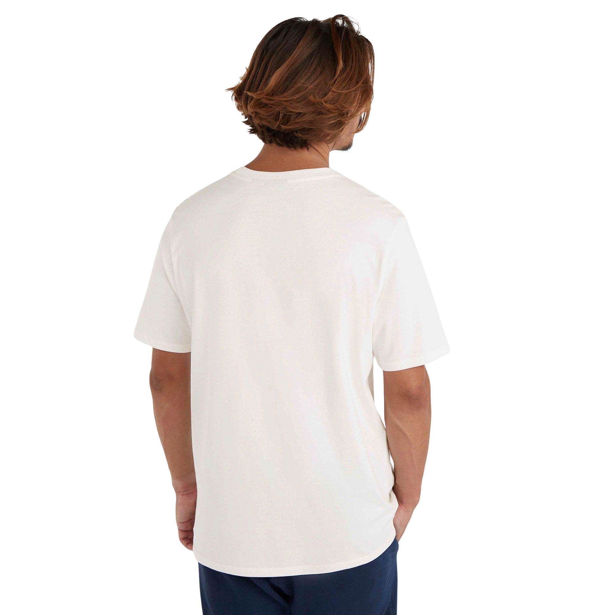 O'Neill Small Logo Shirt Heren