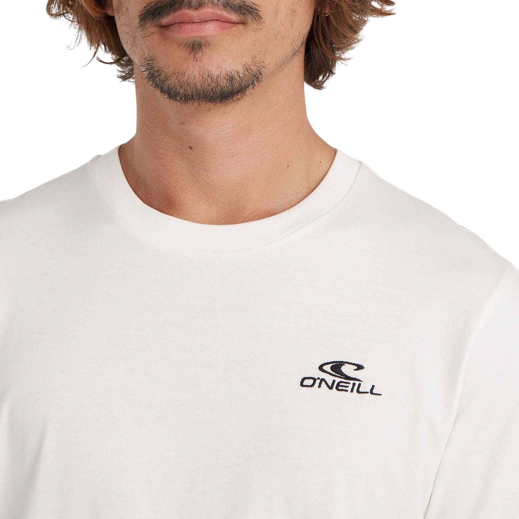 O'Neill Small Logo Shirt Heren