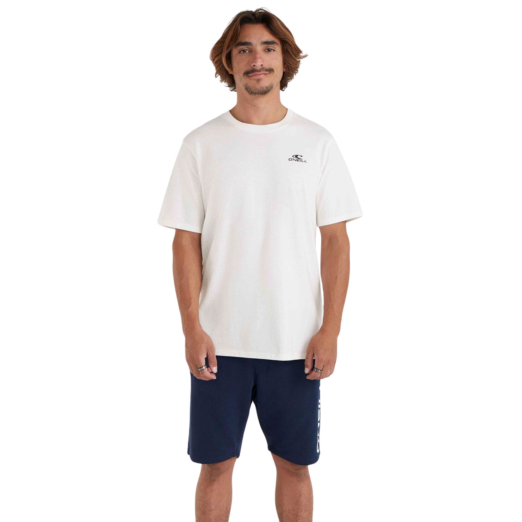 O'Neill Small Logo Shirt Heren