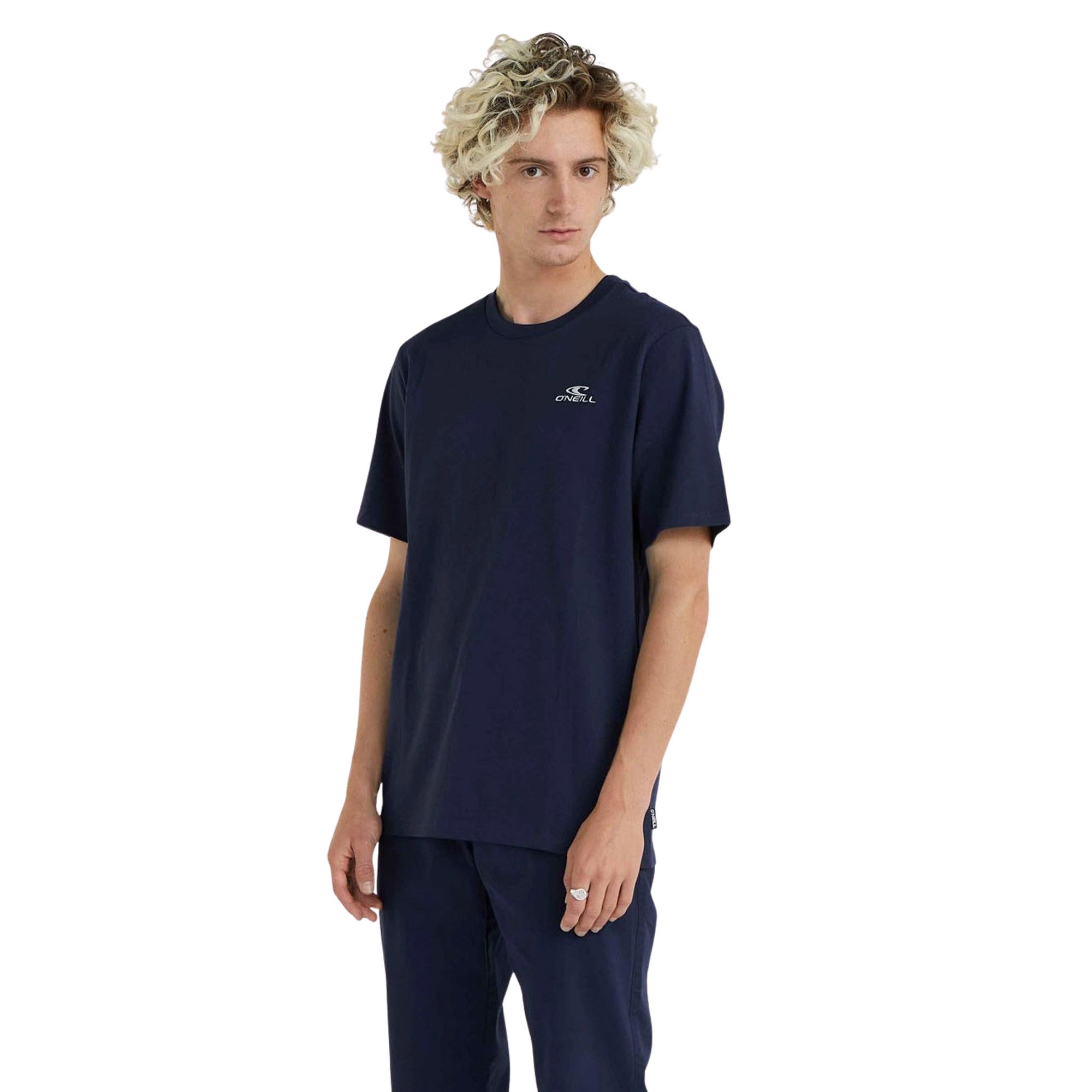 O'Neill Small Logo Shirt Heren